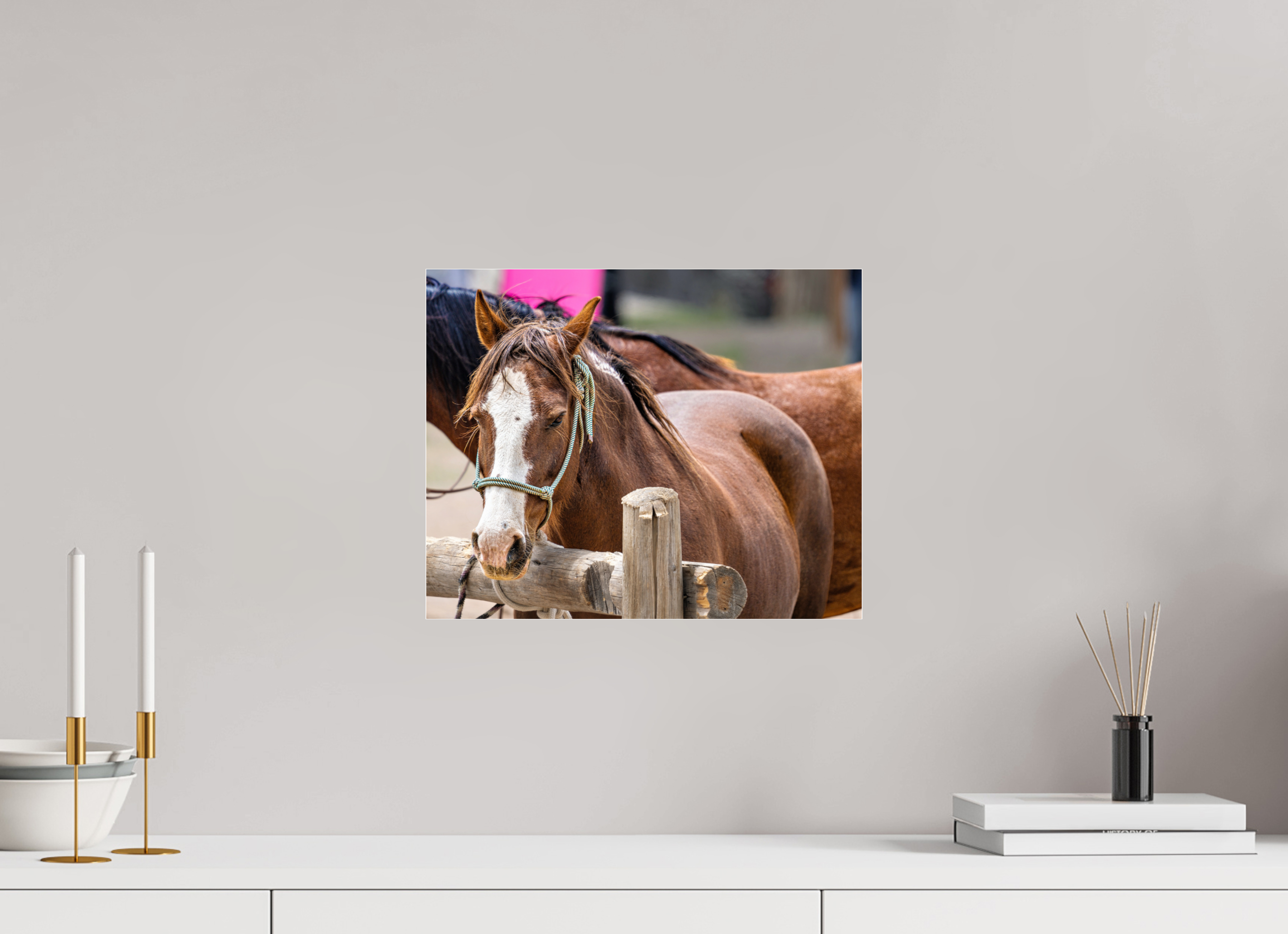 15 x 12″, ACRYLIC Pack Horse Portrait 12 Web Exclusive