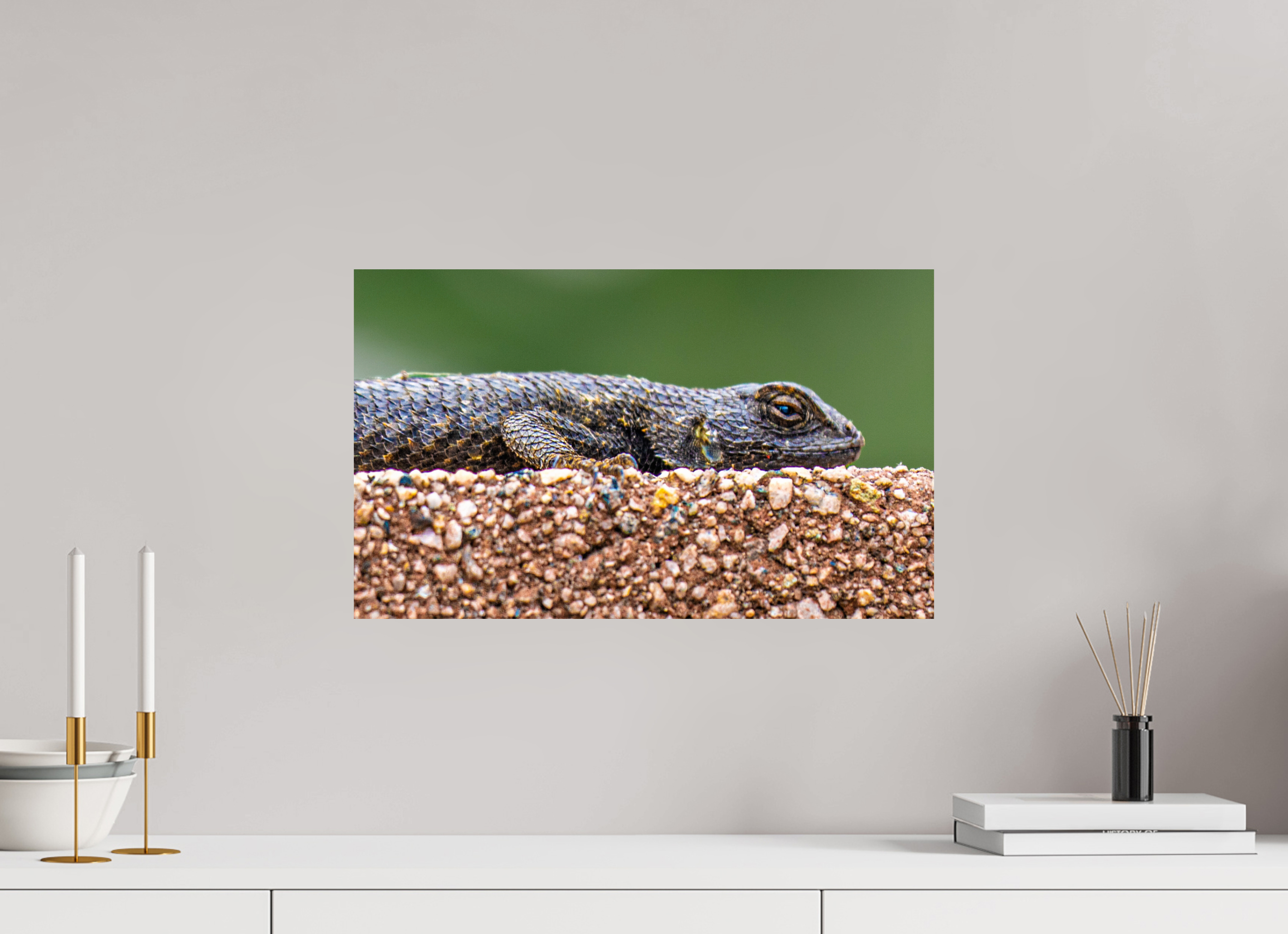 19.9 x 12″, METAL Lizard
