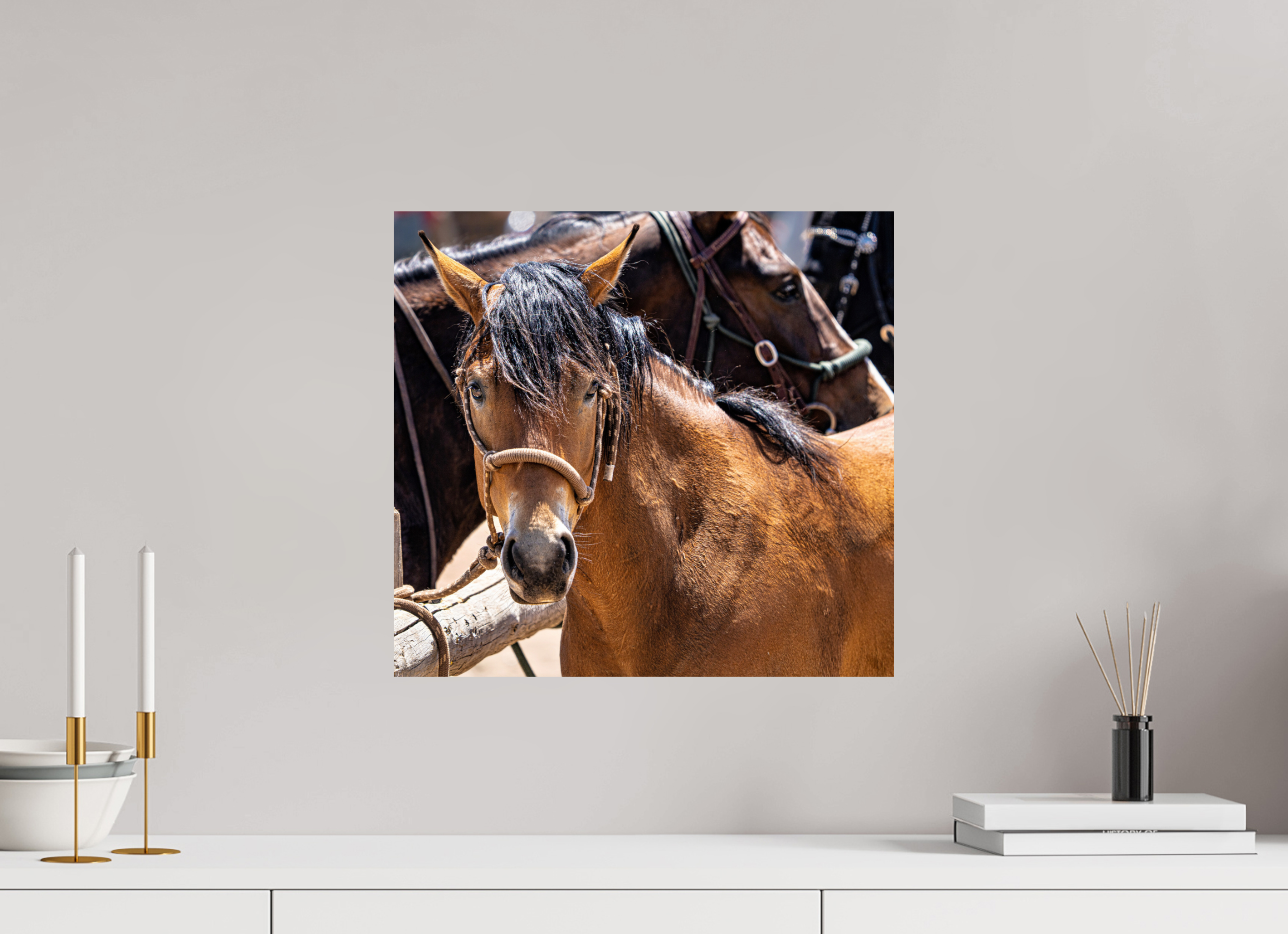 17.2 x 16″, METAL Pack Horse Portrait 6