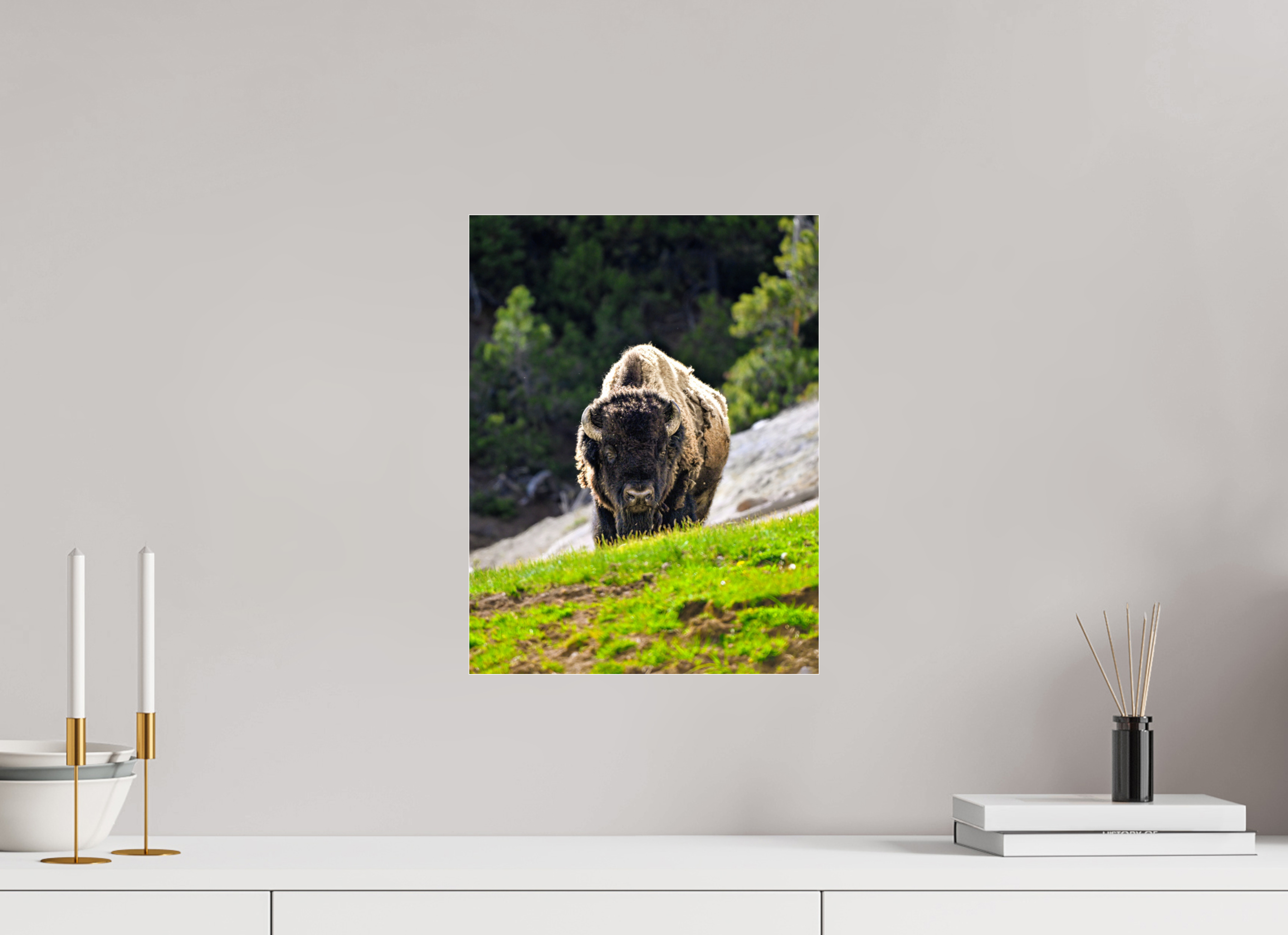 12 x 15.7″, ACRYLIC Bison Portrait