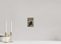 4 x 6″, PHOTO PAPER Bison with Tongue