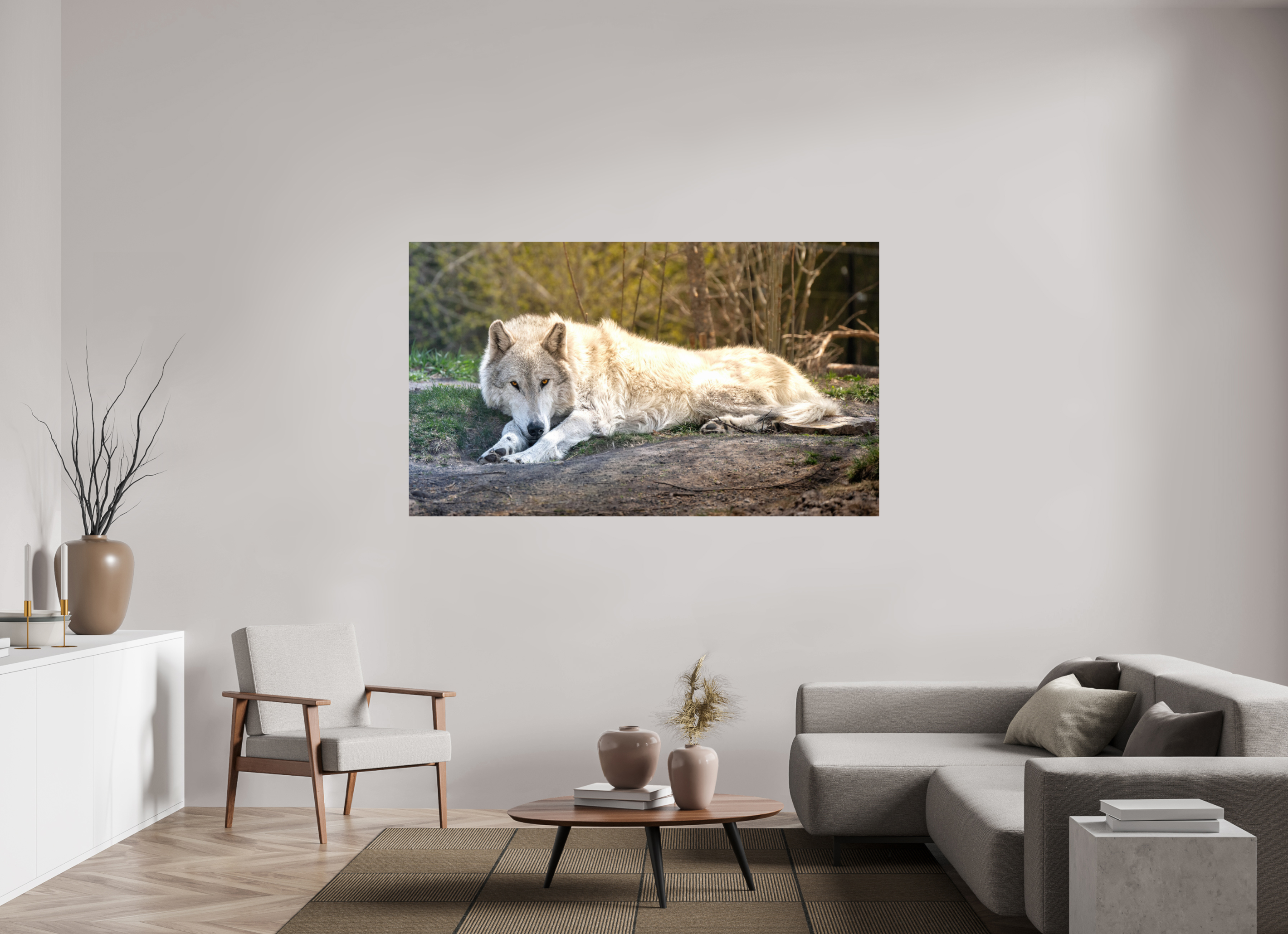 73.7 x 43″, METAL Wolf Laying Down