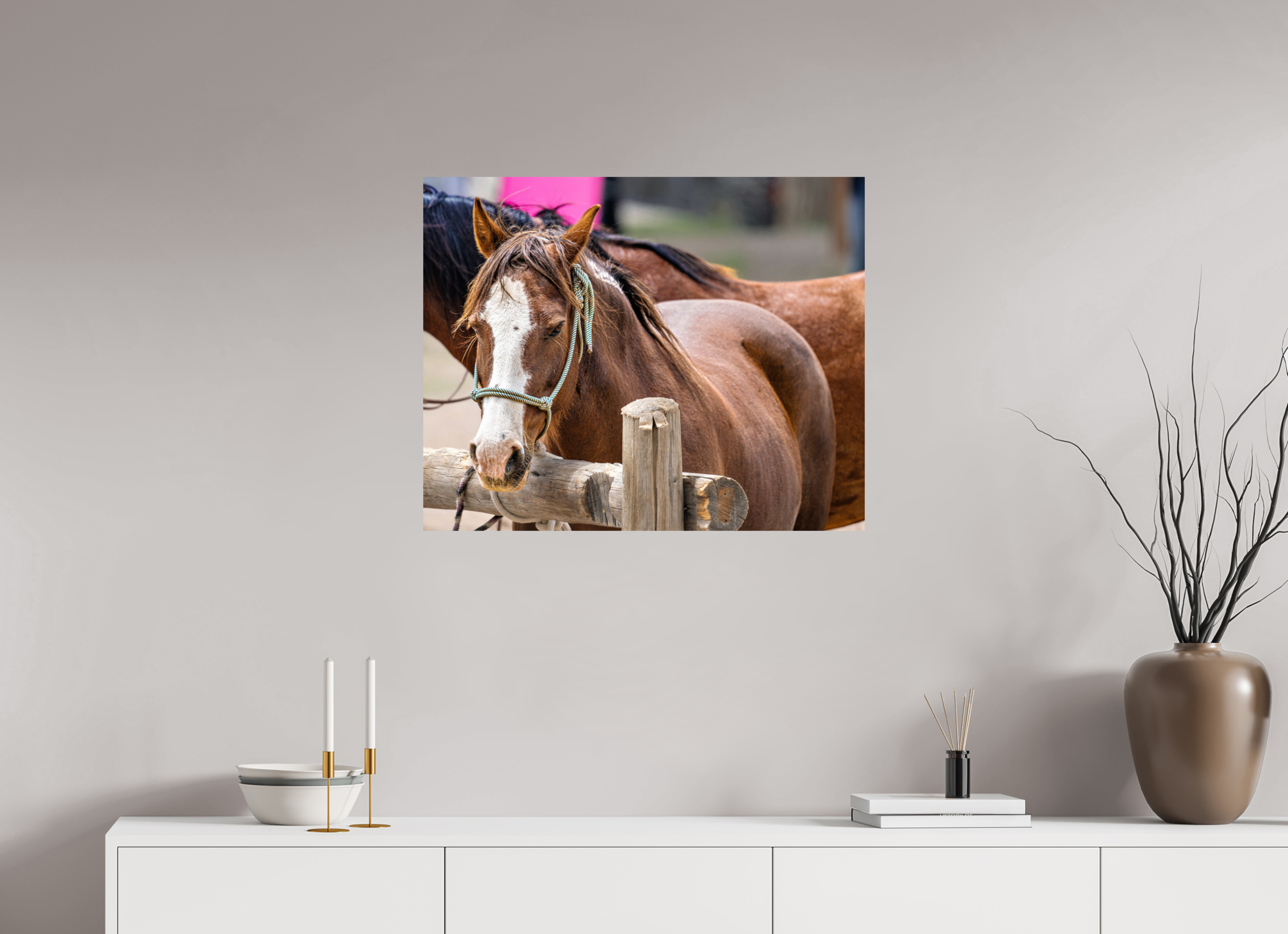 30 x 24″, PHOTO PAPER Pack Horse Portrait 12 Web Exclusive