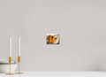 4.9 x 4″, PHOTO PAPER Fox
