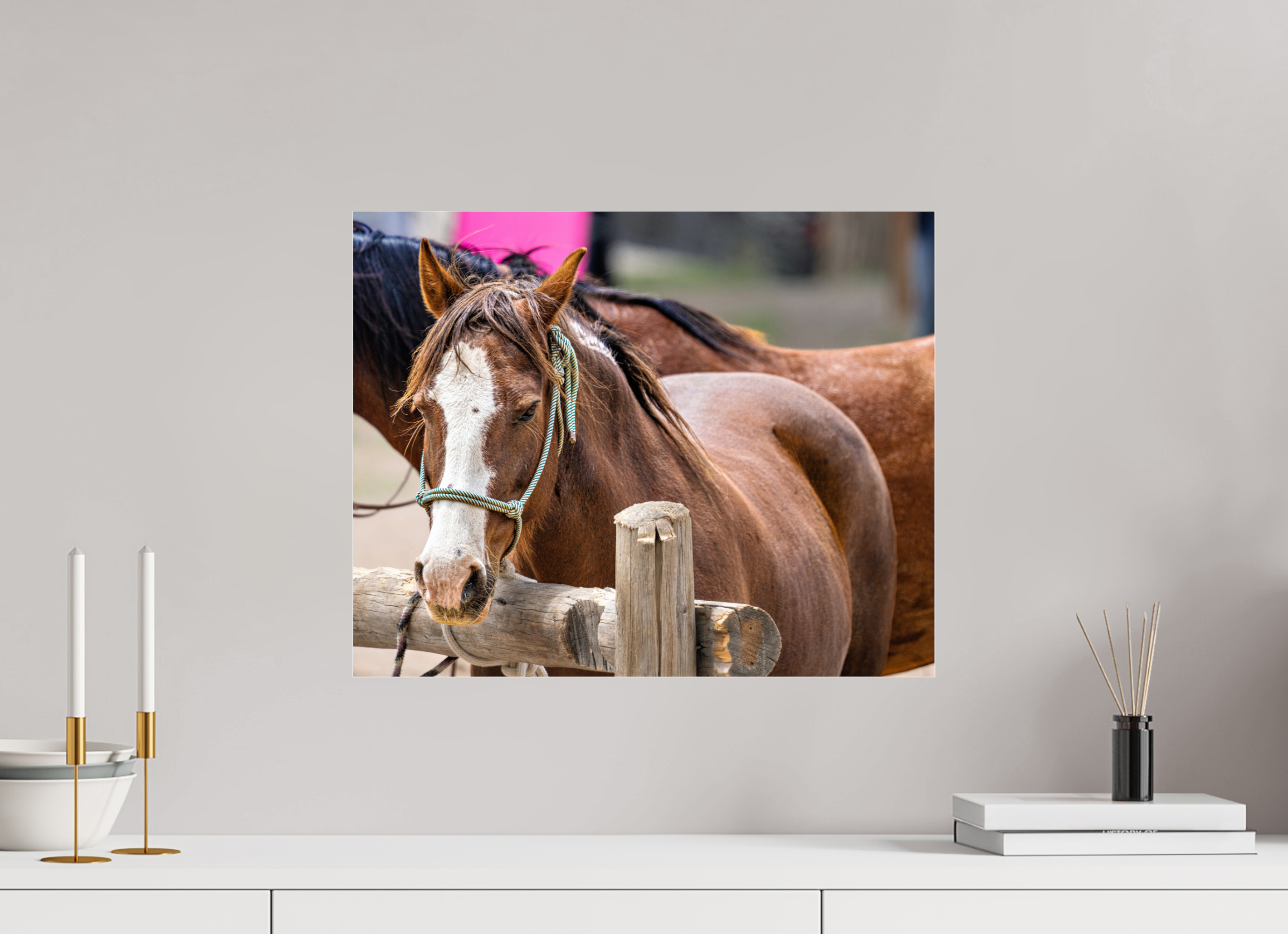 20 x 16″, ACRYLIC Pack Horse Portrait 12 Web Exclusive