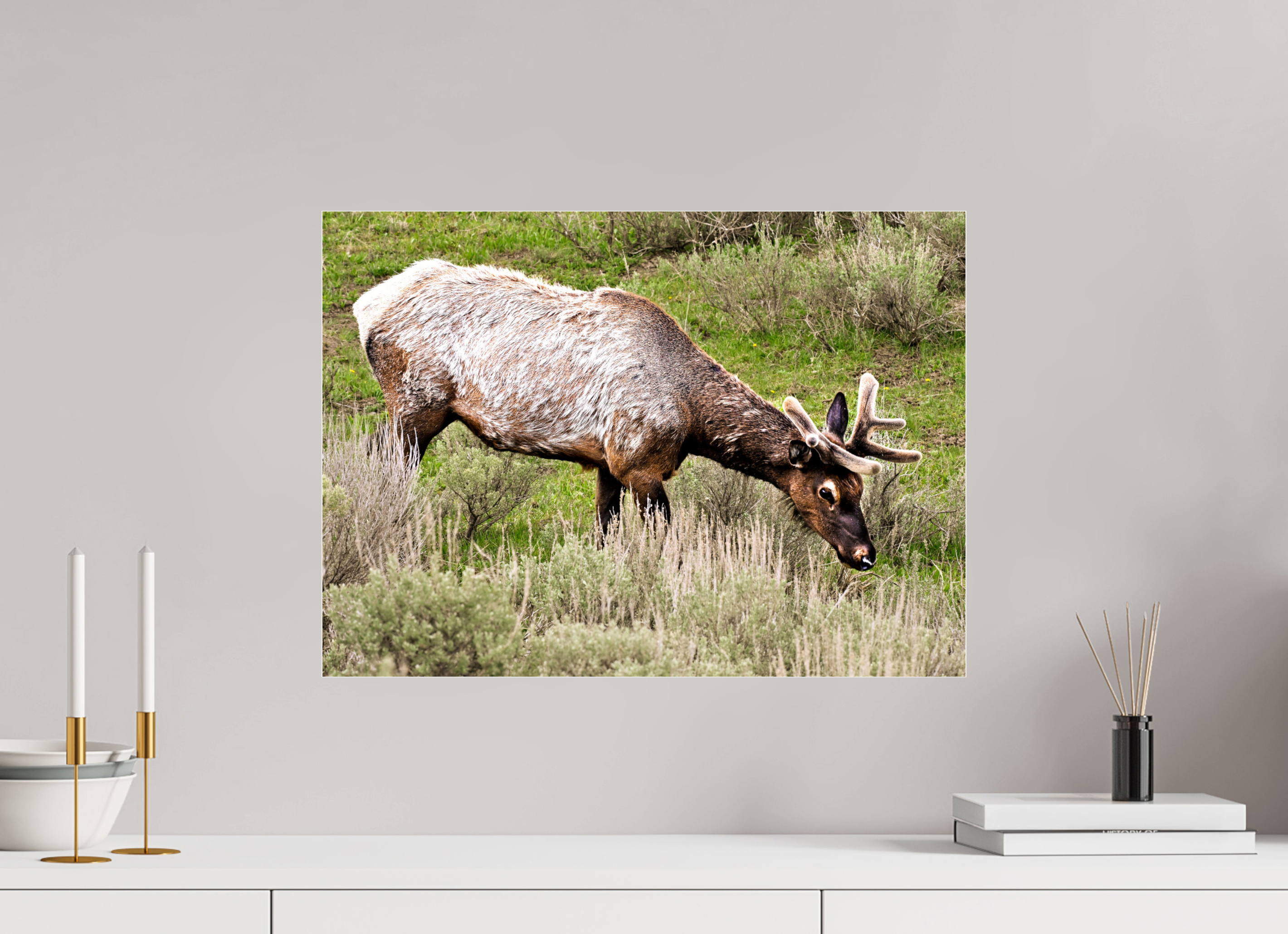 22.1 x 16″, ACRYLIC Elk