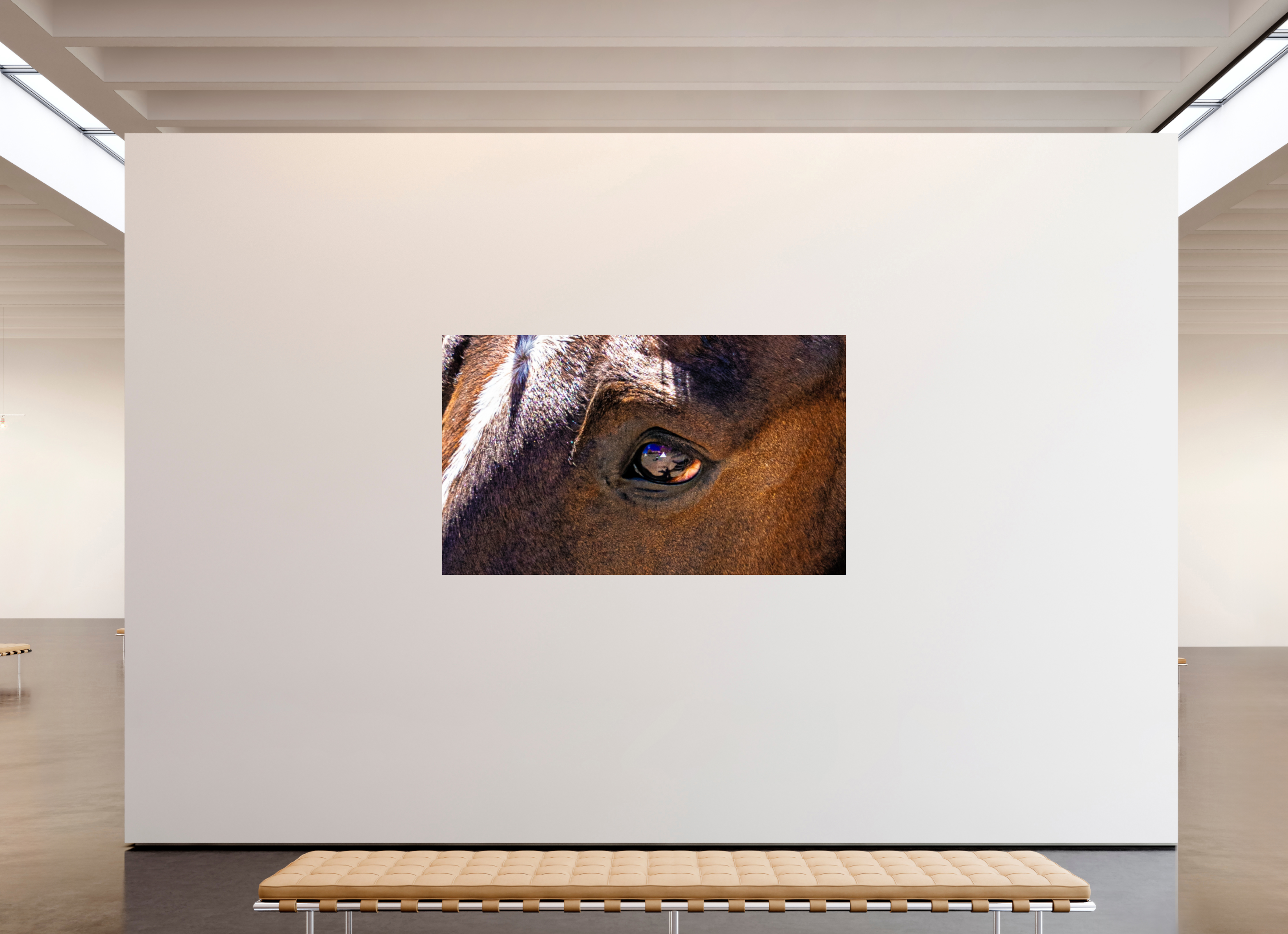 79.2 x 47″, ACRYLIC Pack Horse Eye