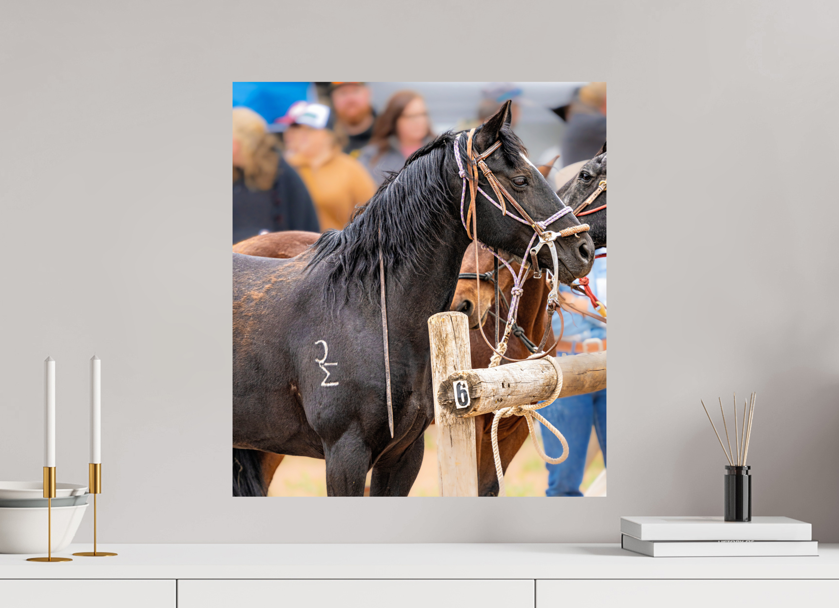 20 x 22.2″, PHOTO PAPER Pack Horse Portrait 2