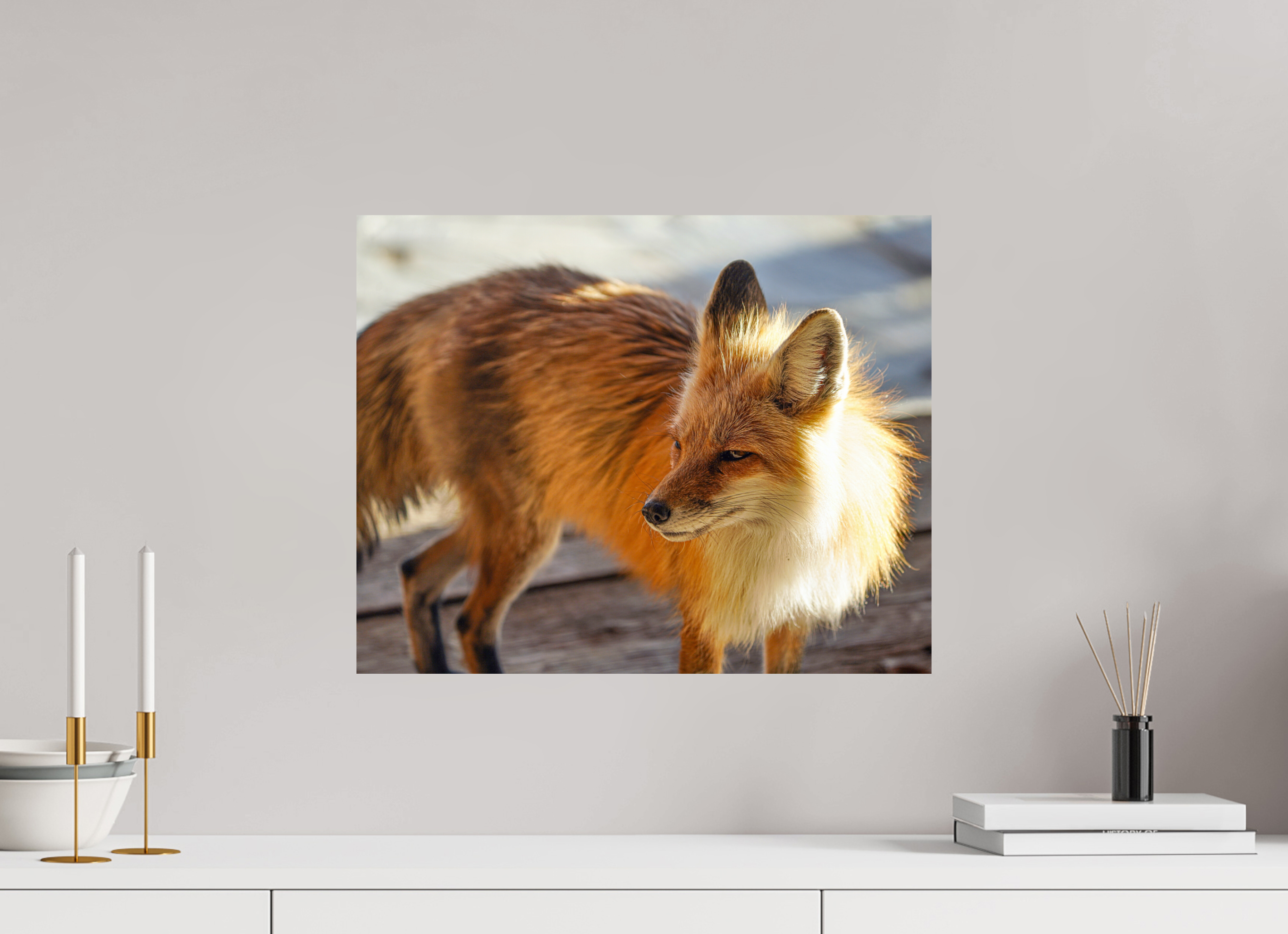 20 x 16″, PHOTO PAPER Fox