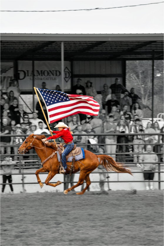 Main image America 250 Flag Rider 11
