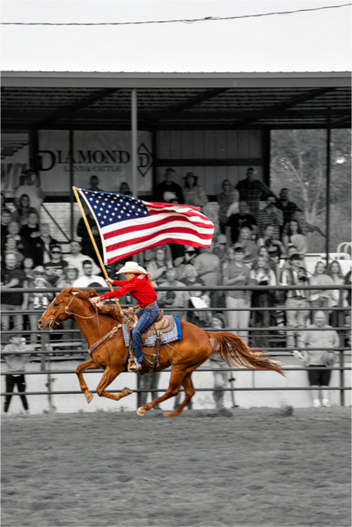 Main image America 250 Flag Rider 11