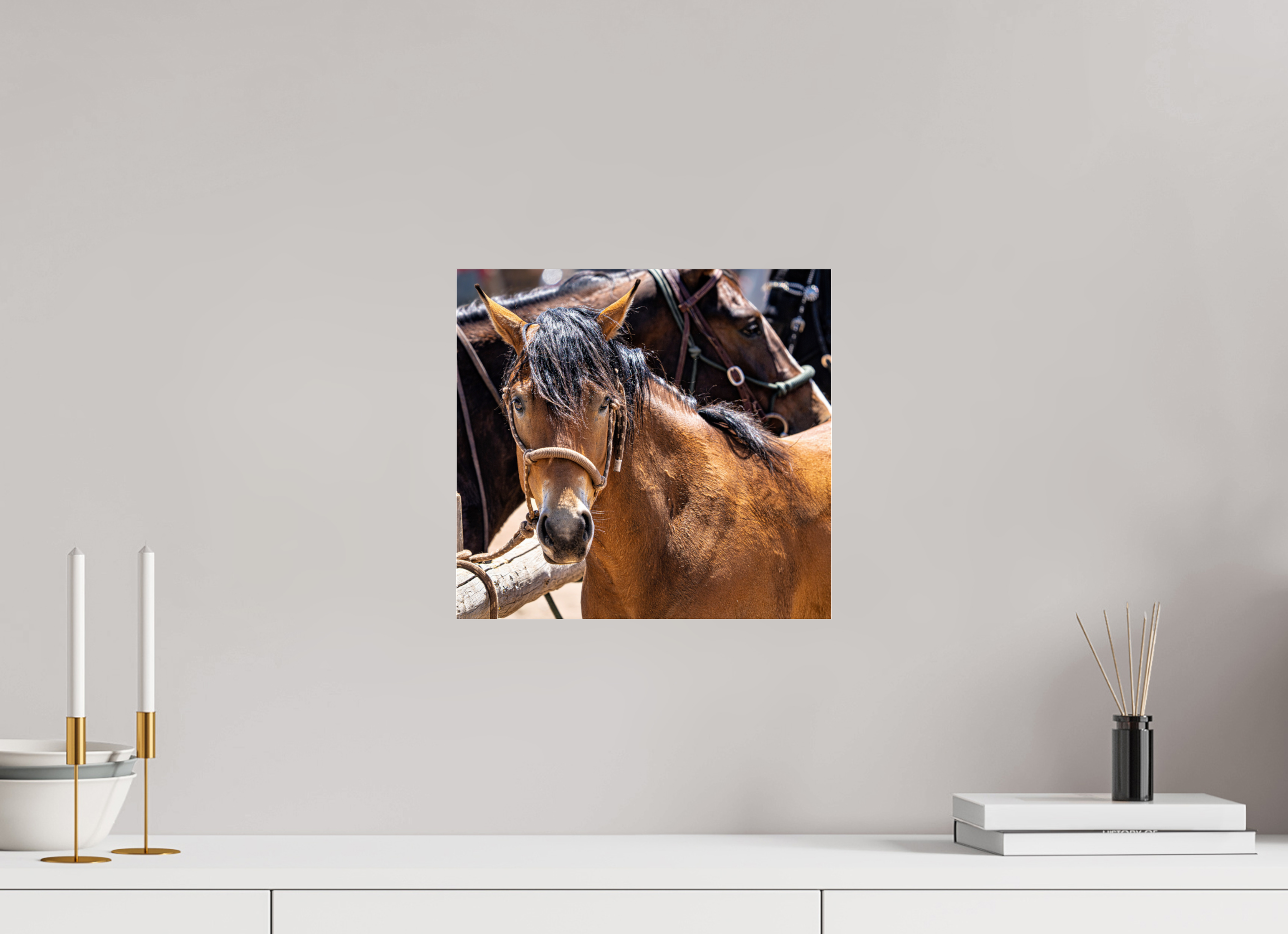 12.9 x 12″, ACRYLIC Pack Horse Portrait 6