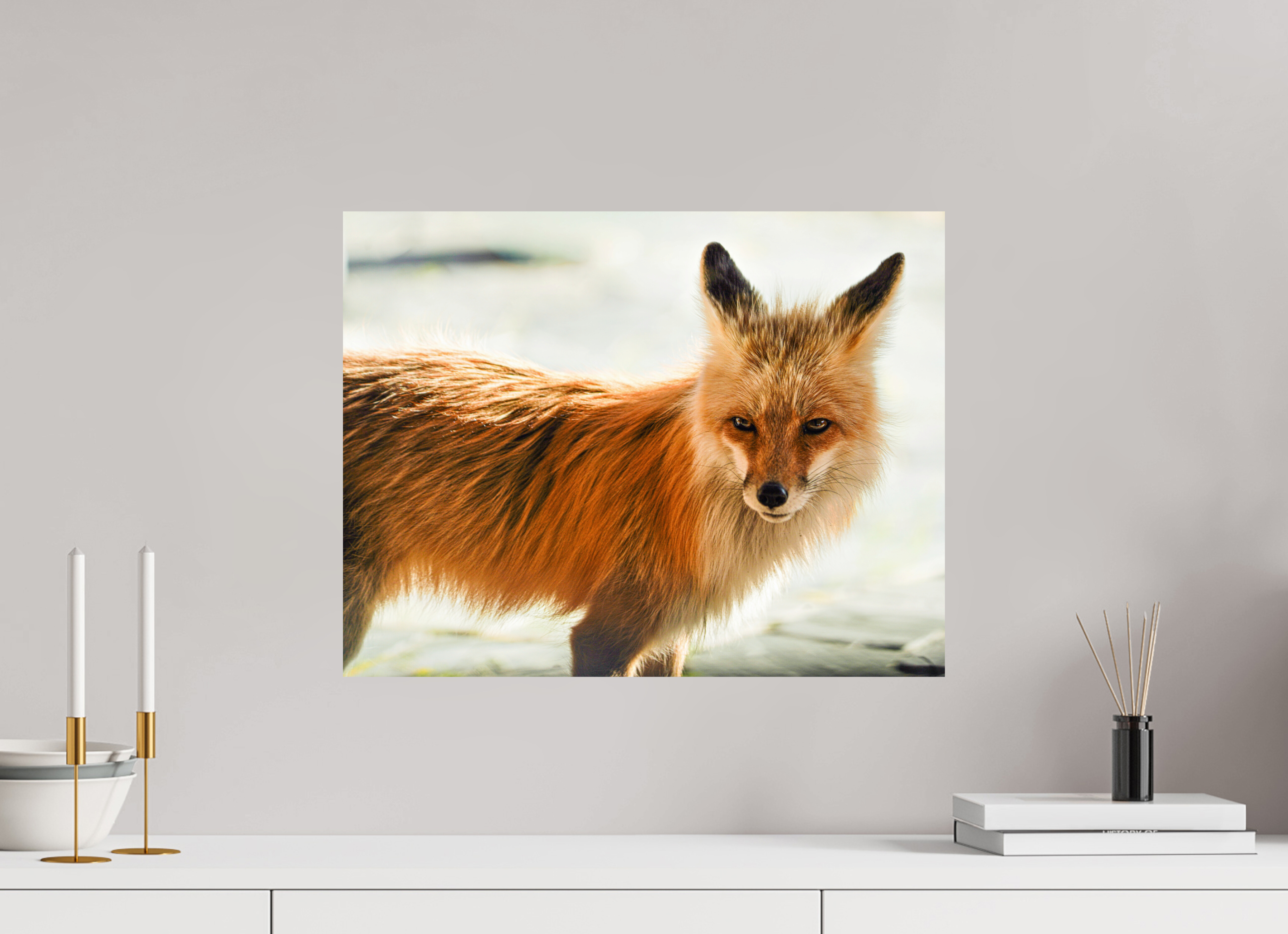 20.7 x 16″, METAL Fox