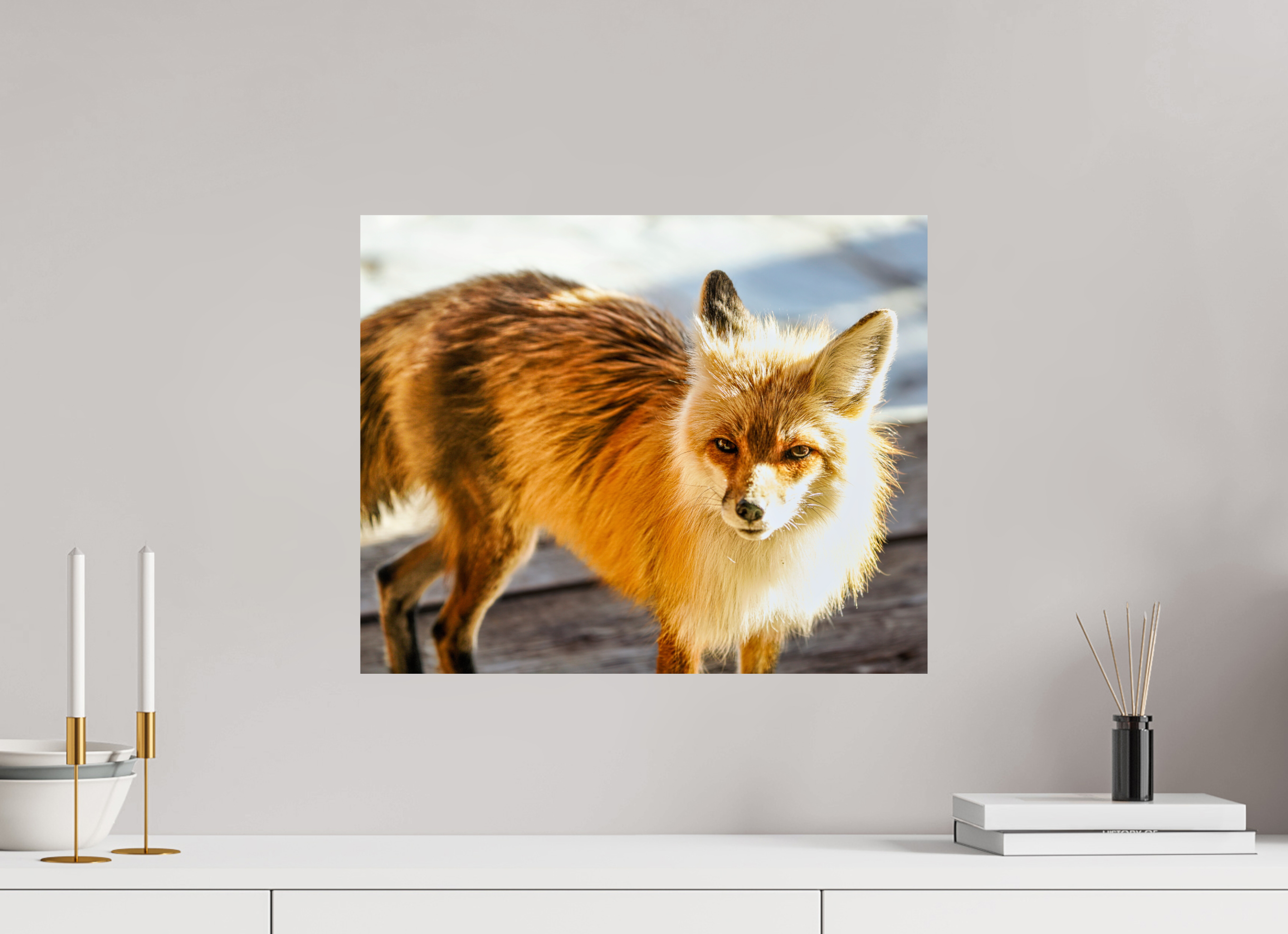 19.8 x 16″, PHOTO PAPER Fox