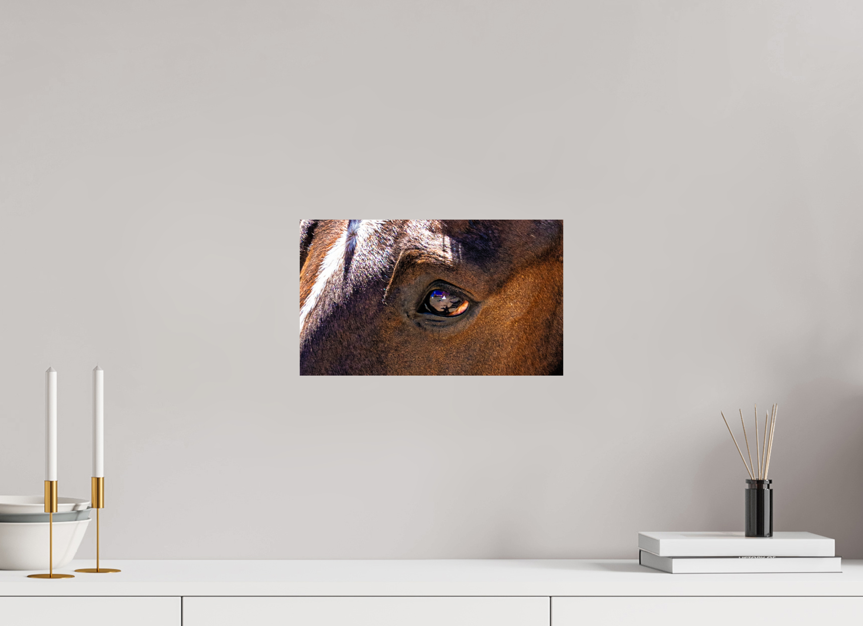 13.5 x 8″, METAL Pack Horse Eye
