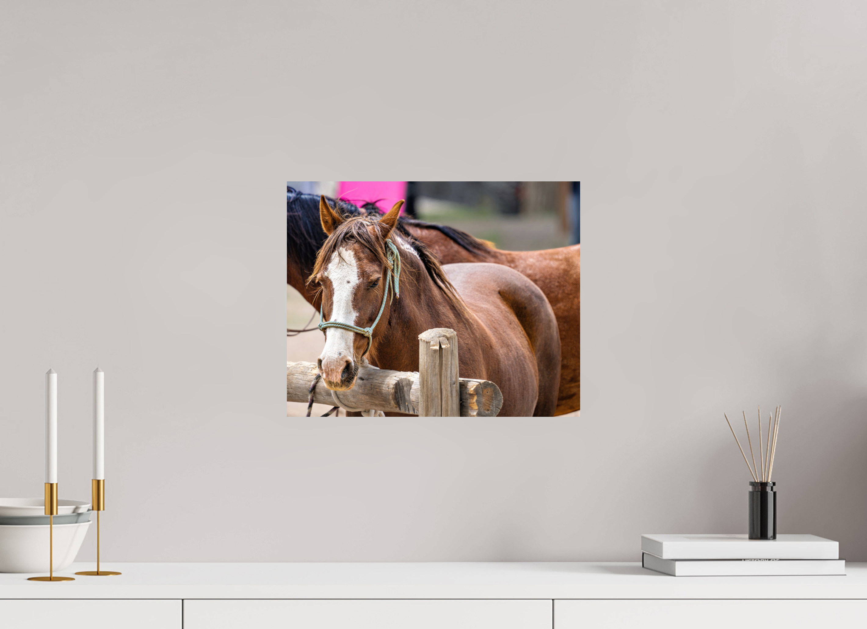 15 x 12″, METAL Pack Horse Portrait 12 Web Exclusive