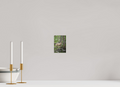 4 x 5.8″, PHOTO PAPER Deer