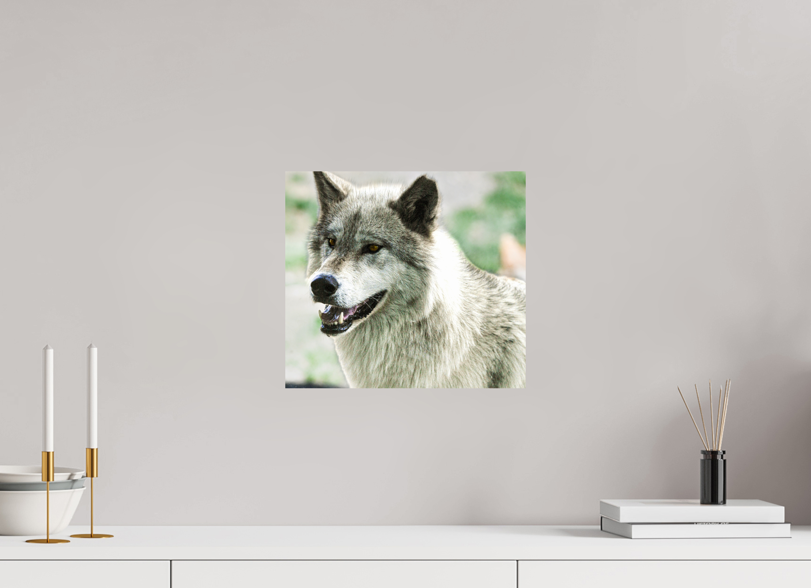 13.3 x 12″, PHOTO PAPER Wolf Portrait