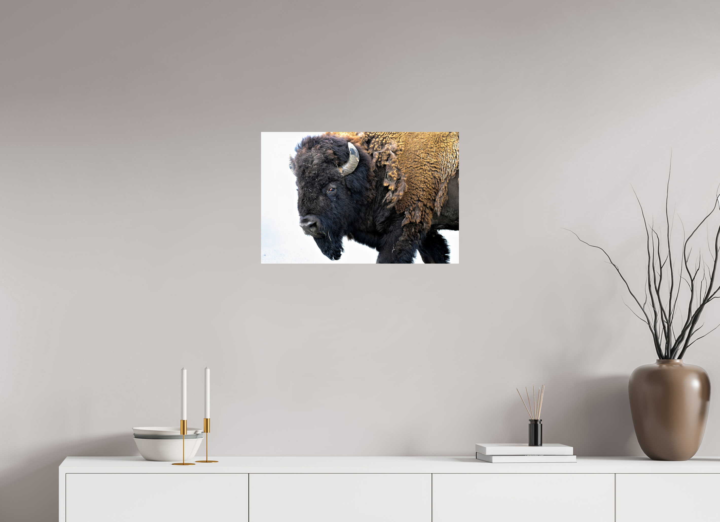 24 x 16″, PHOTO PAPER Bison Side eye