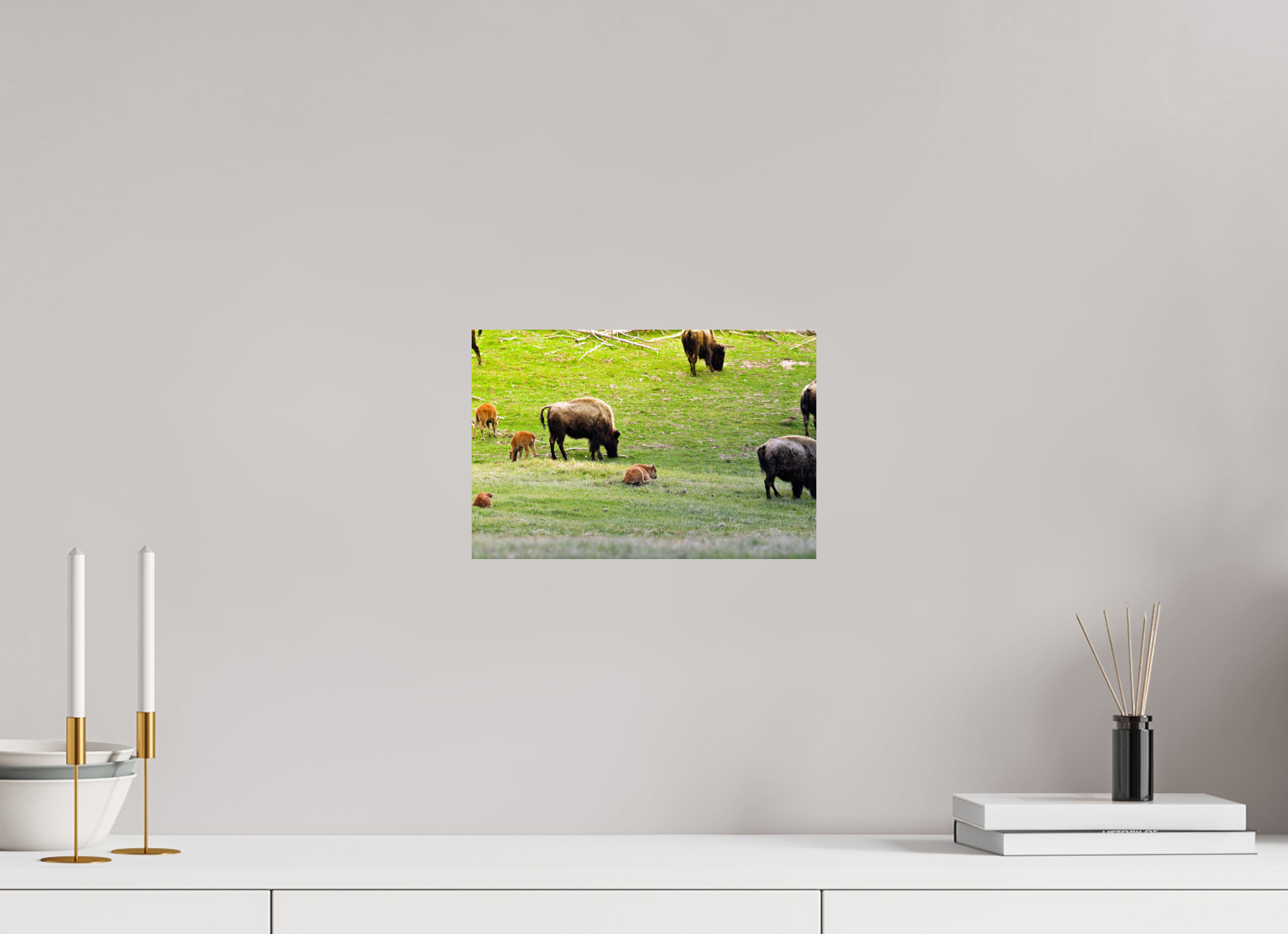 12 x 8″, PHOTO PAPER Bison Herd
