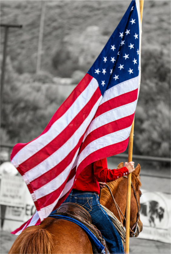 Main image America 250 Flag Rider 9