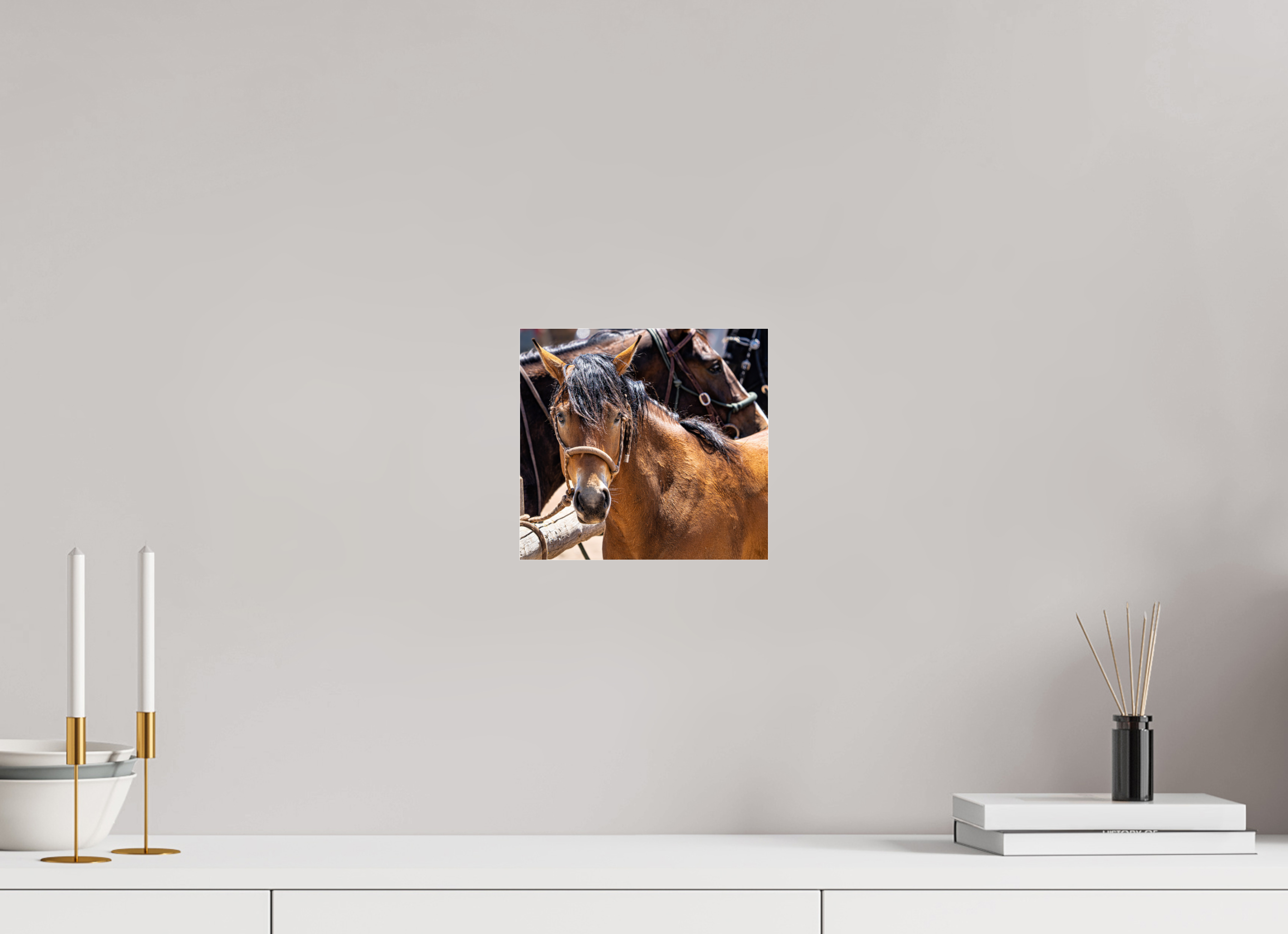 8.6 x 8″, ACRYLIC Pack Horse Portrait 6