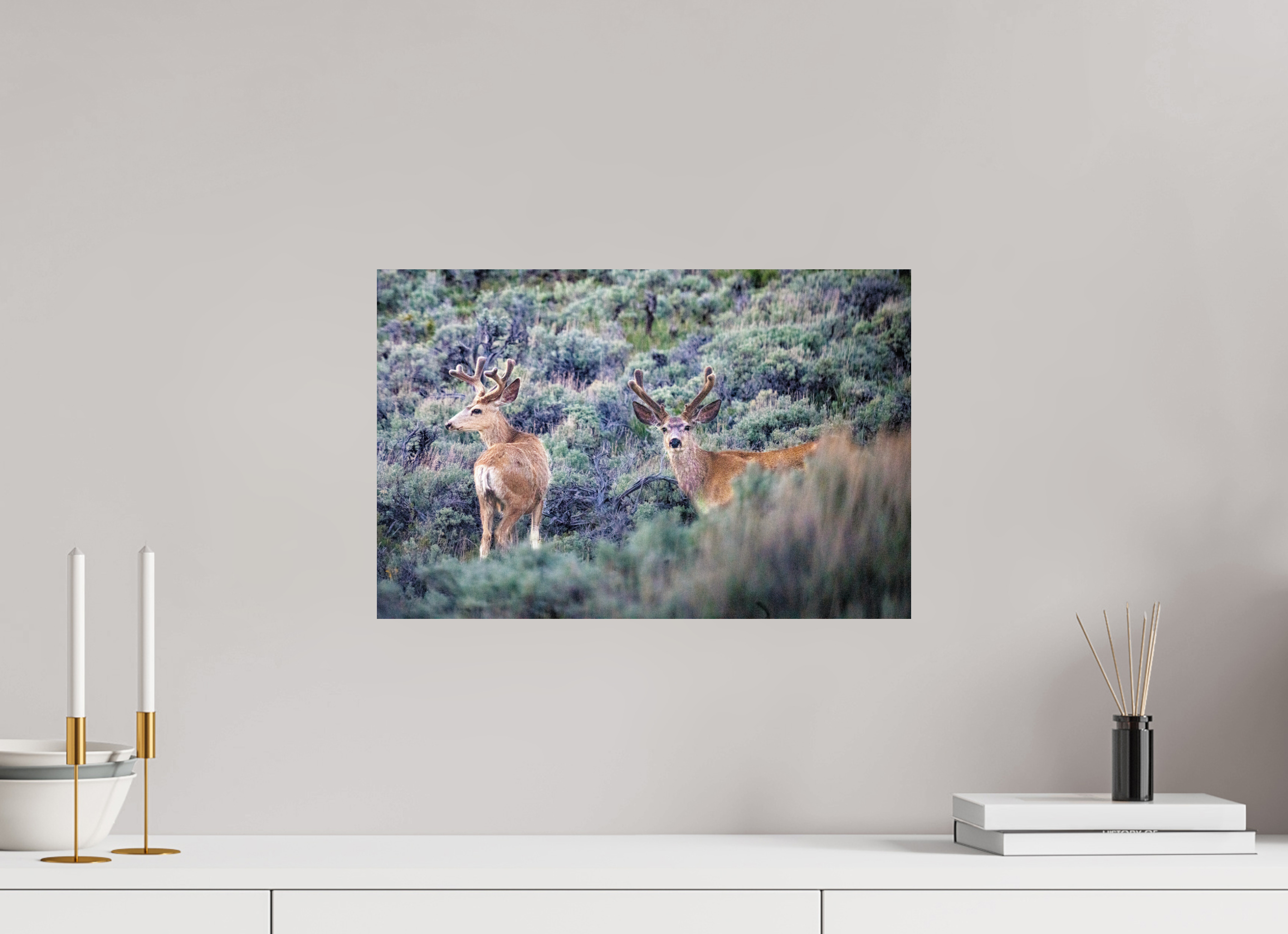 18.3 x 12″, METAL Deer