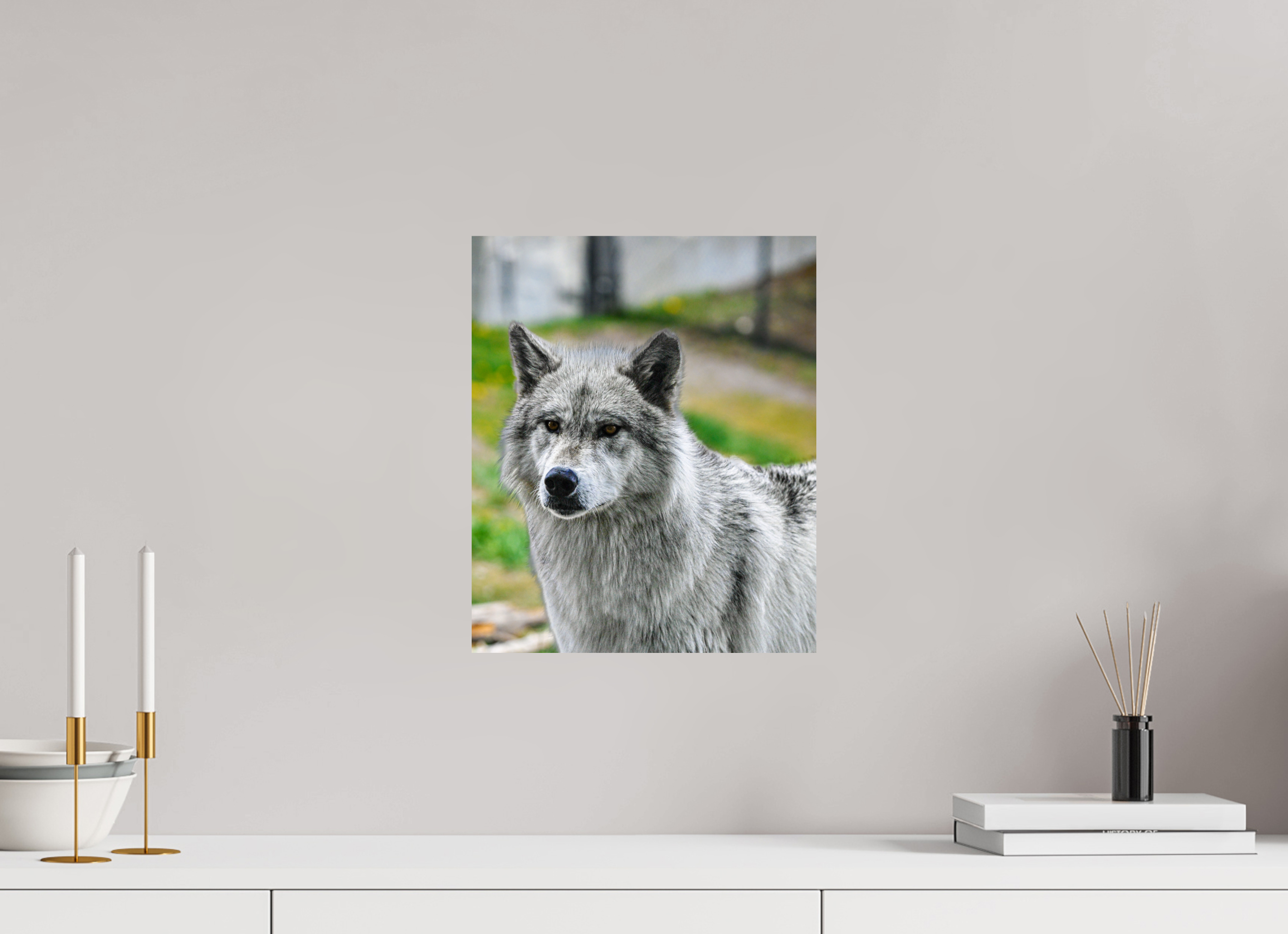 12 x 14.5″, PHOTO PAPER Wolf Portrait