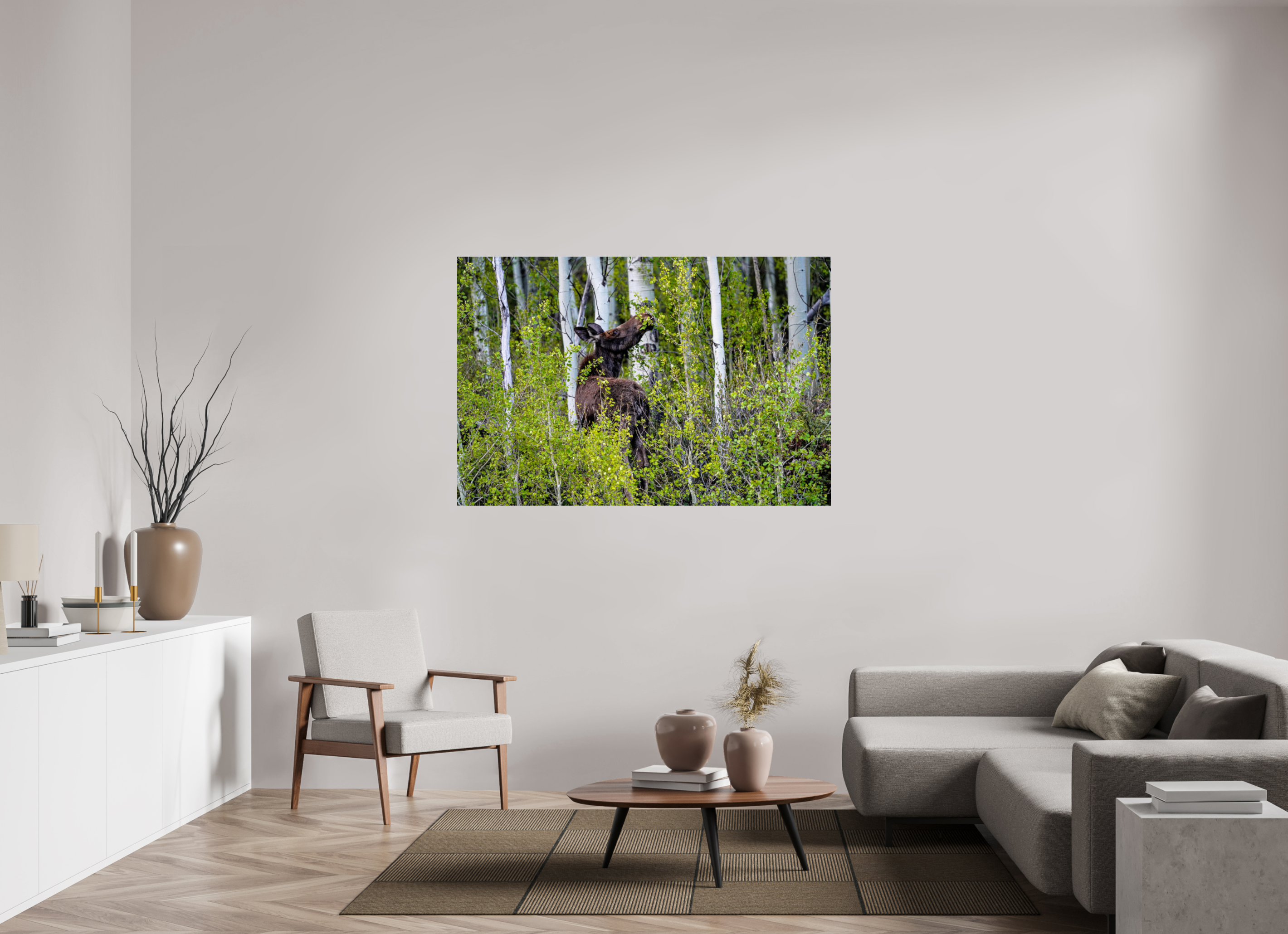 60 x 40″, METAL Cow Moose Snacking on Aspens