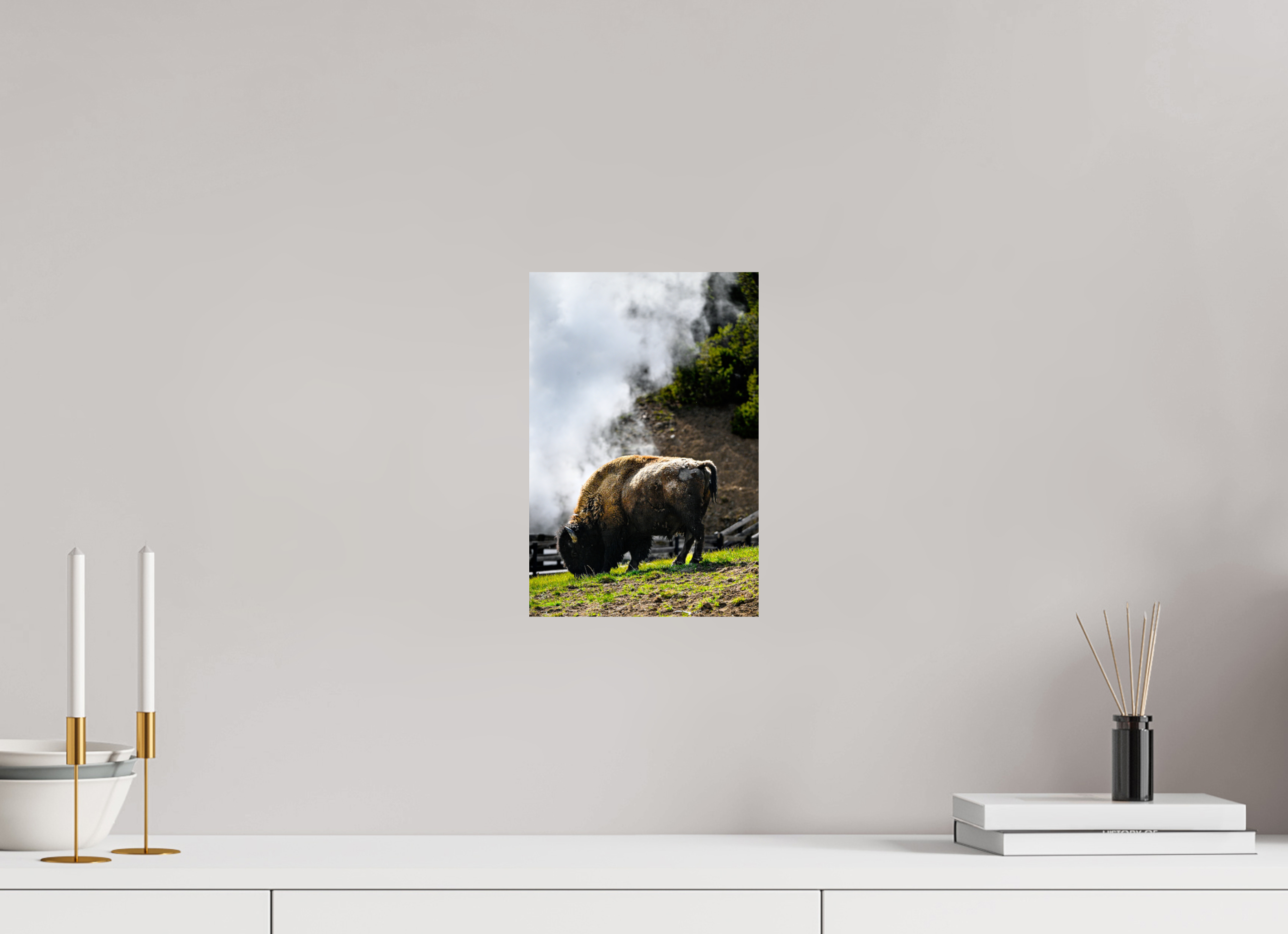 8 x 12″, PHOTO PAPER Bison Grazing