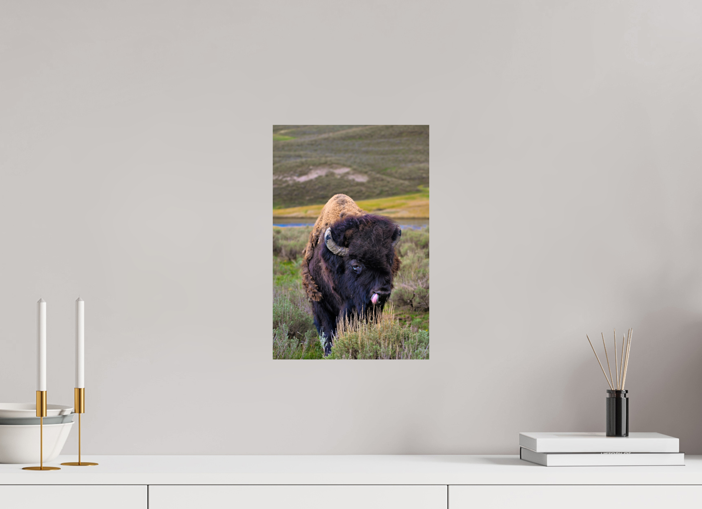 10 x 15″, PHOTO PAPER Bison with Tongue