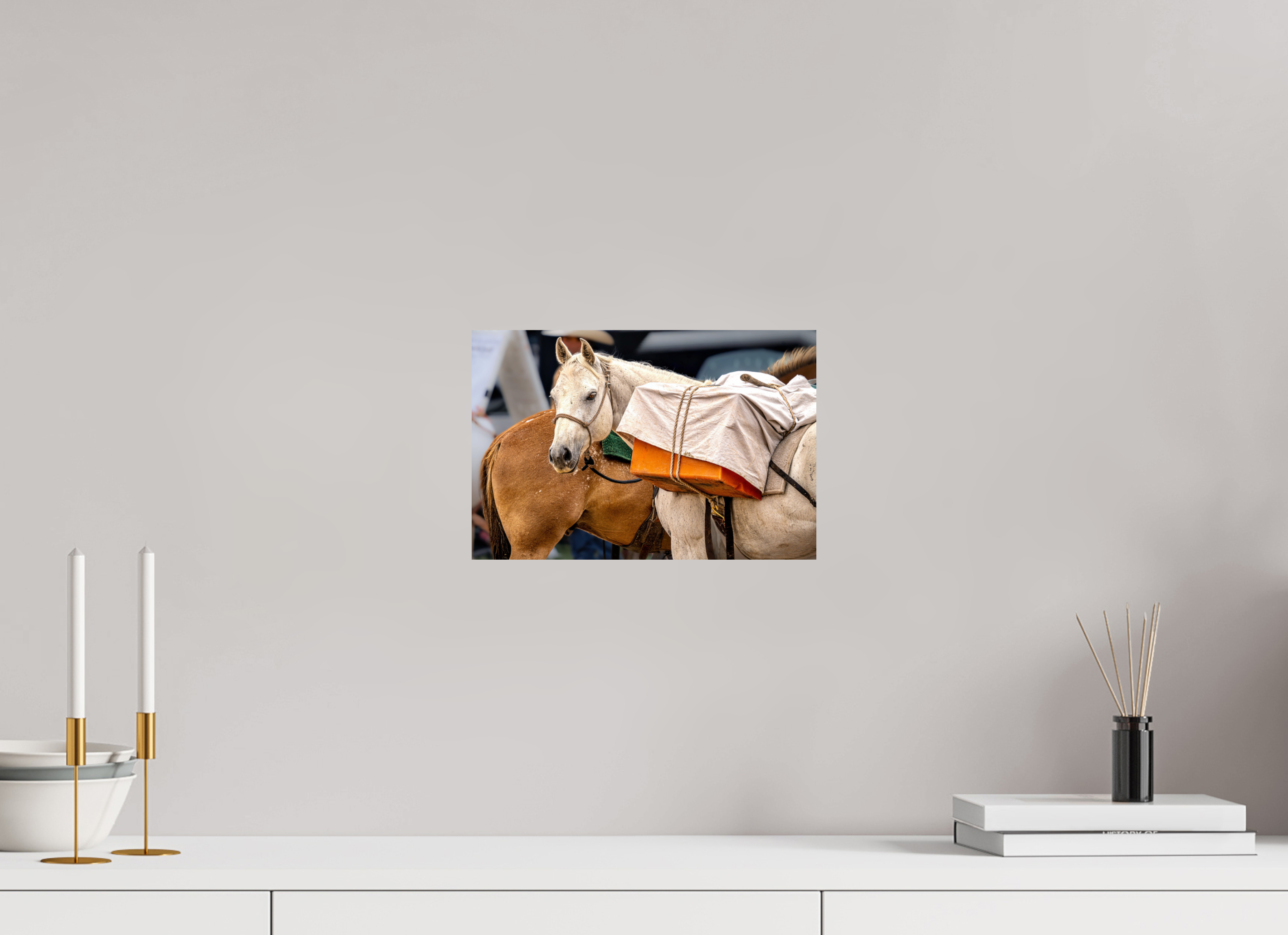 12 x 8″, PHOTO PAPER Pack Horse Portrait 19 Web Exclusive