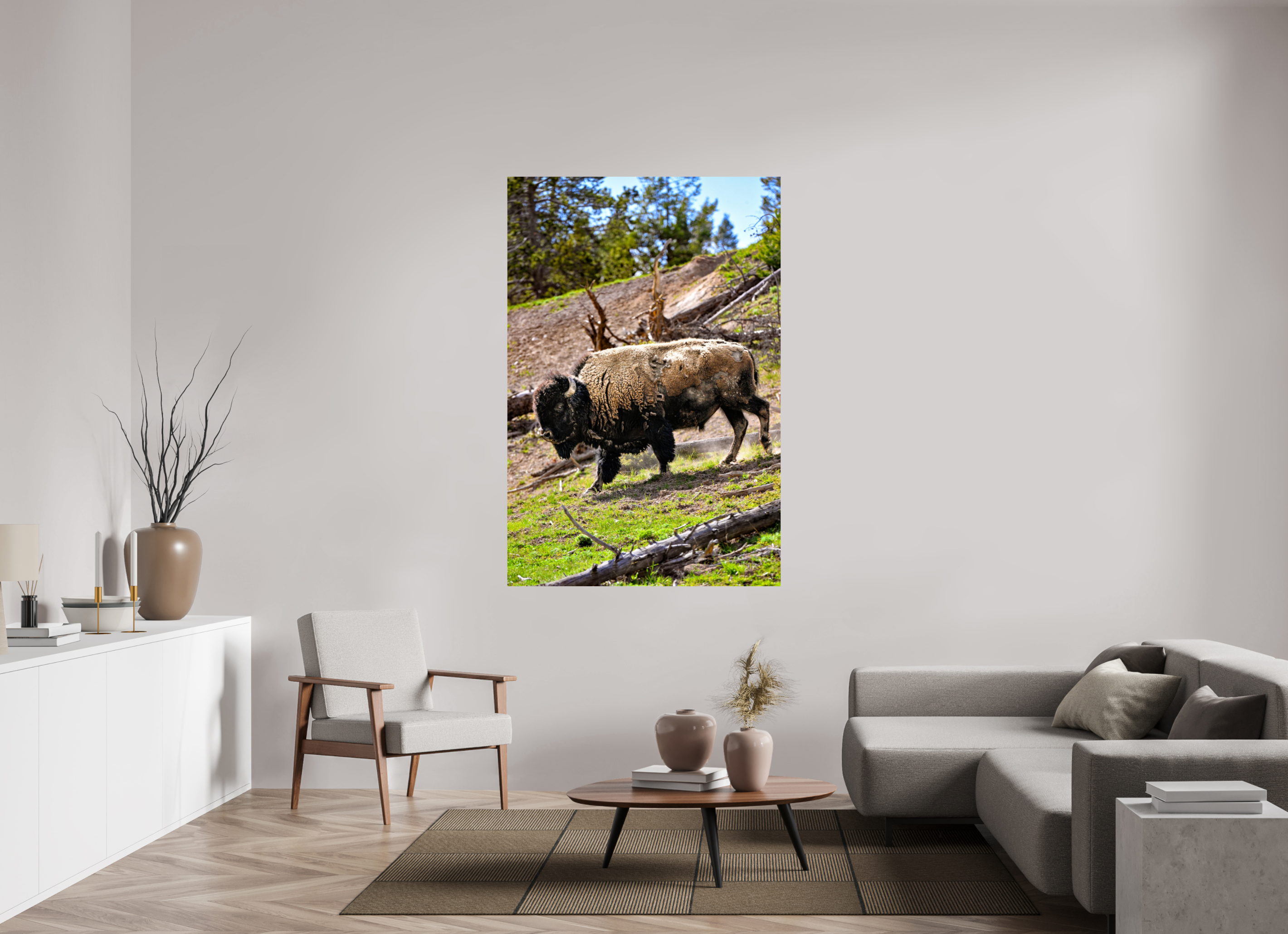 44 x 66″, PHOTO PAPER Bison Walking