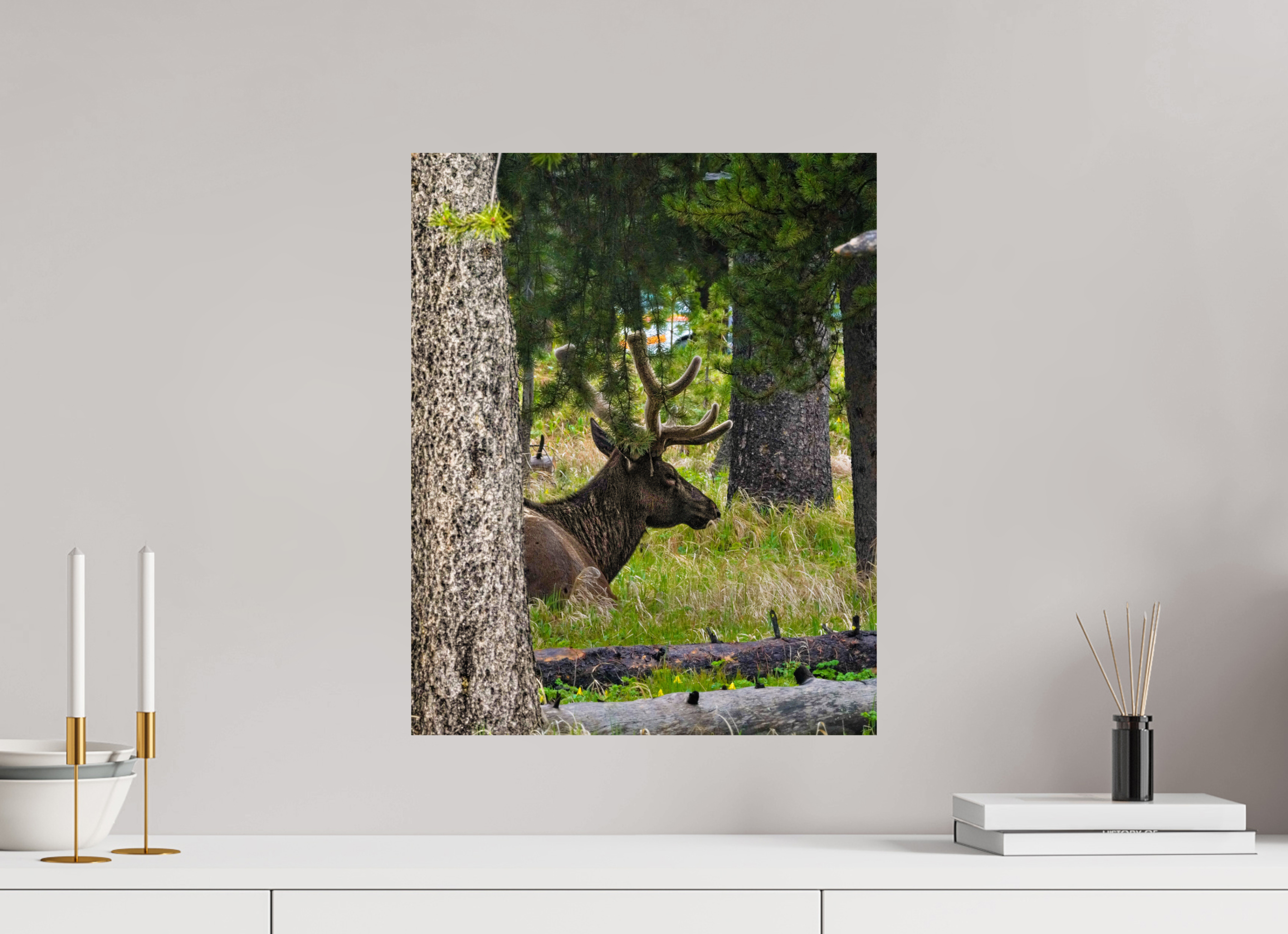 16 x 20″, METAL Elk