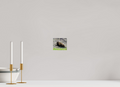 4.6 x 4″, PHOTO PAPER Bison Laying Down