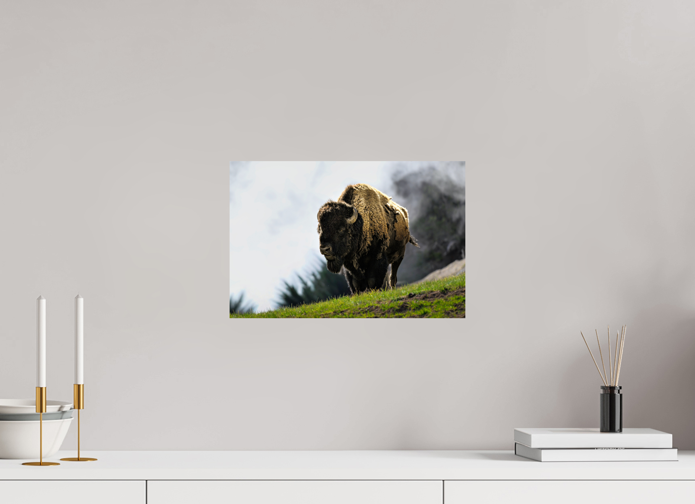 15 x 10″, METAL Bison