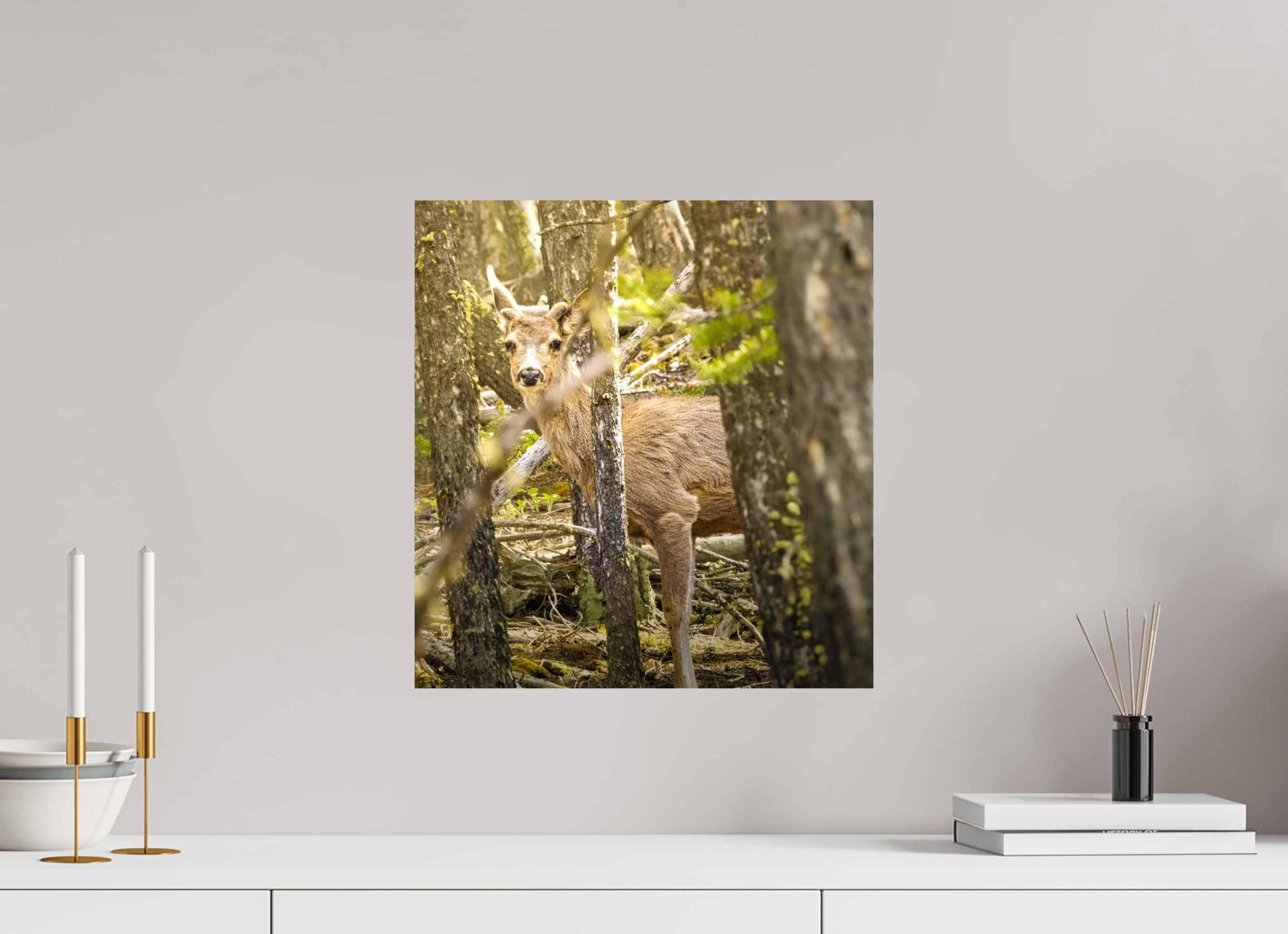 16 x 17″, PHOTO PAPER Deer