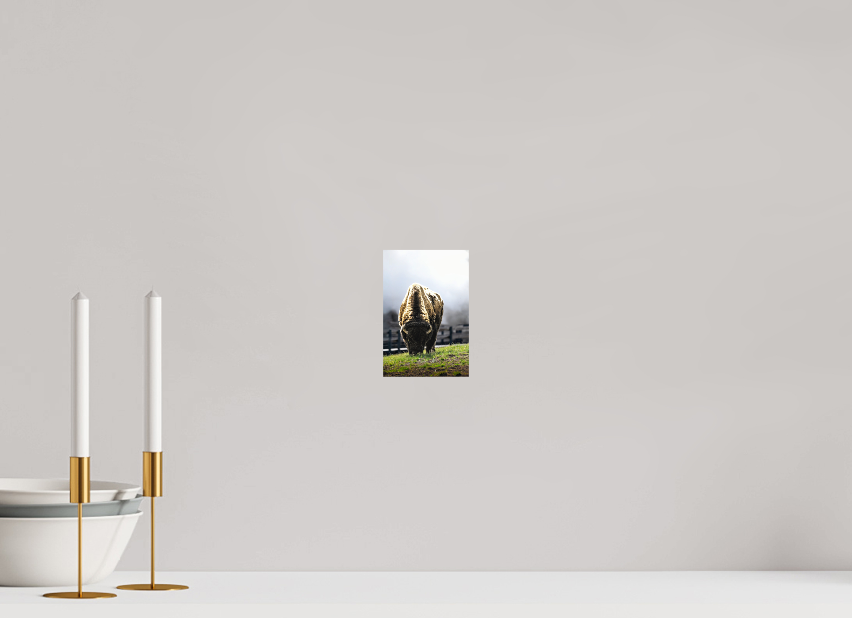 4 x 6″, PHOTO PAPER Bison Grazing