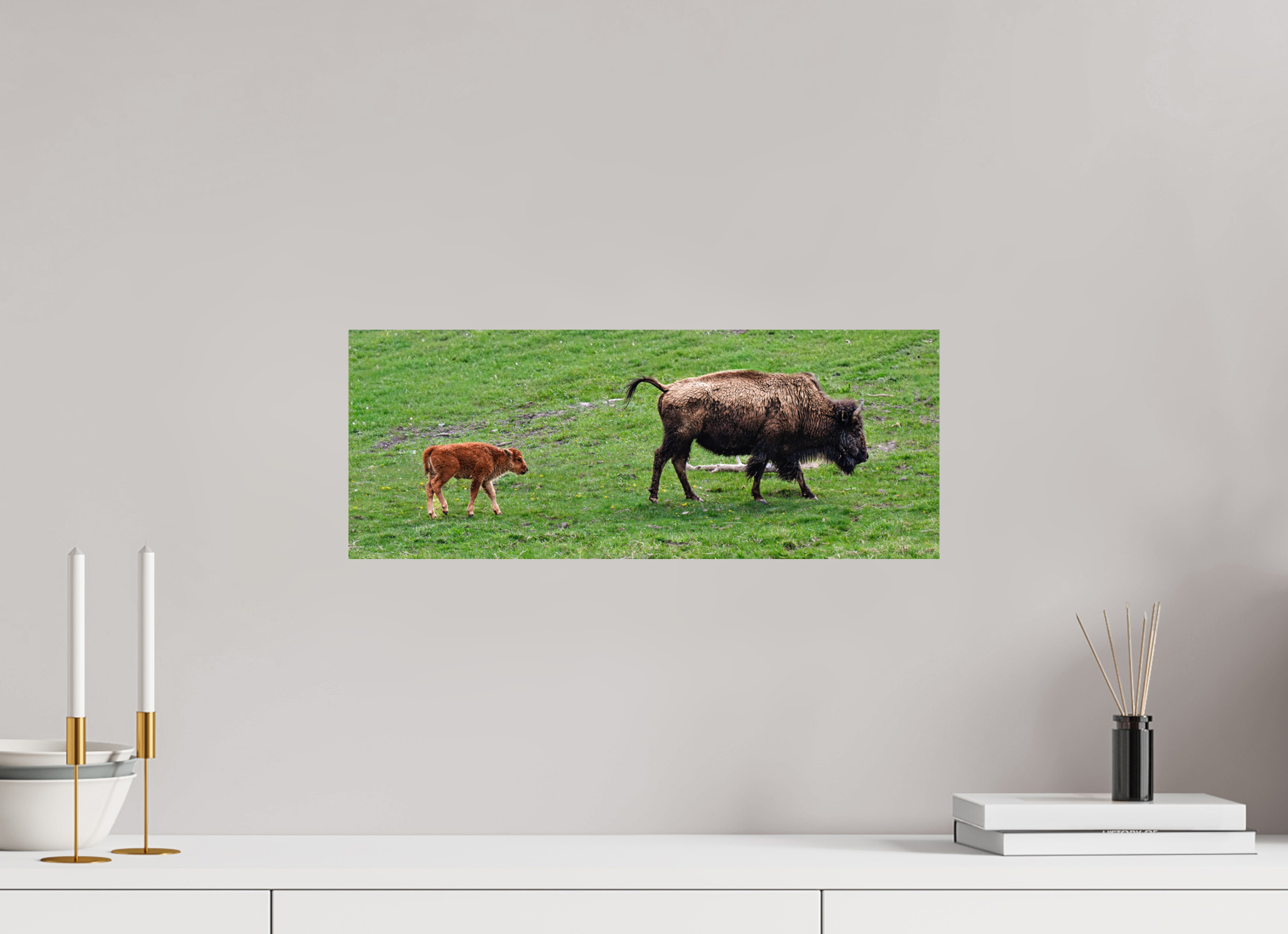 20.6 x 8″, PHOTO PAPER Bison and her Red Dog Following