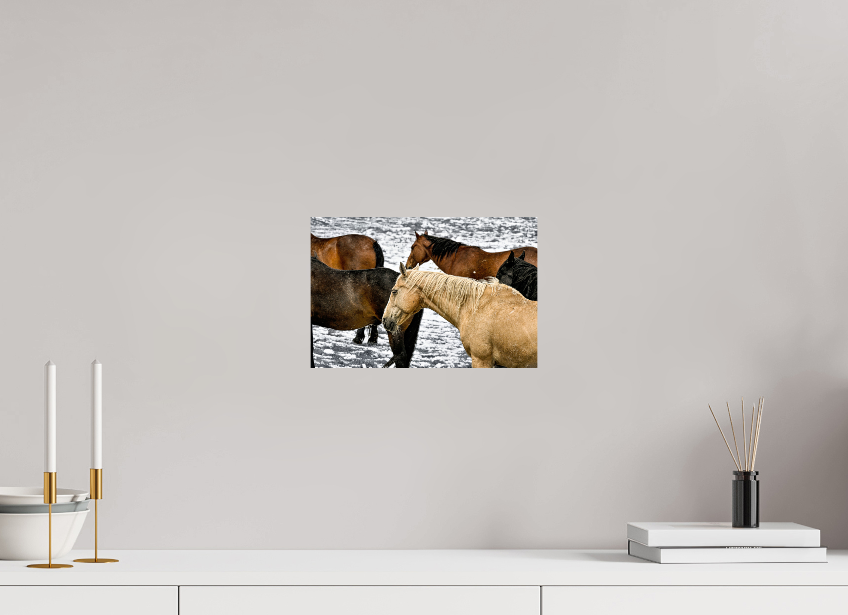 12 x 8″, PHOTO PAPER Colorful Horses