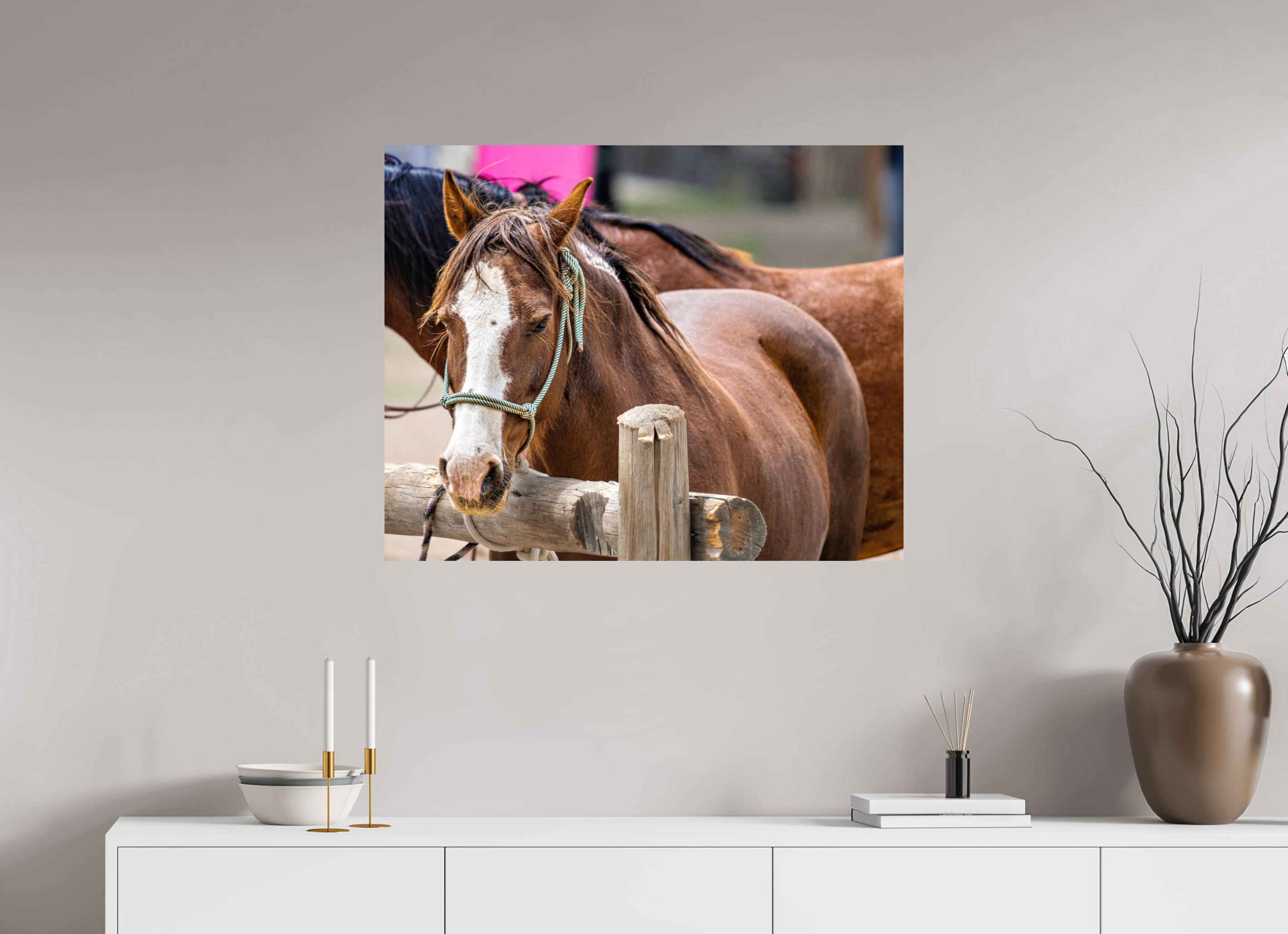 35 x 28″, METAL Pack Horse Portrait 12 Web Exclusive