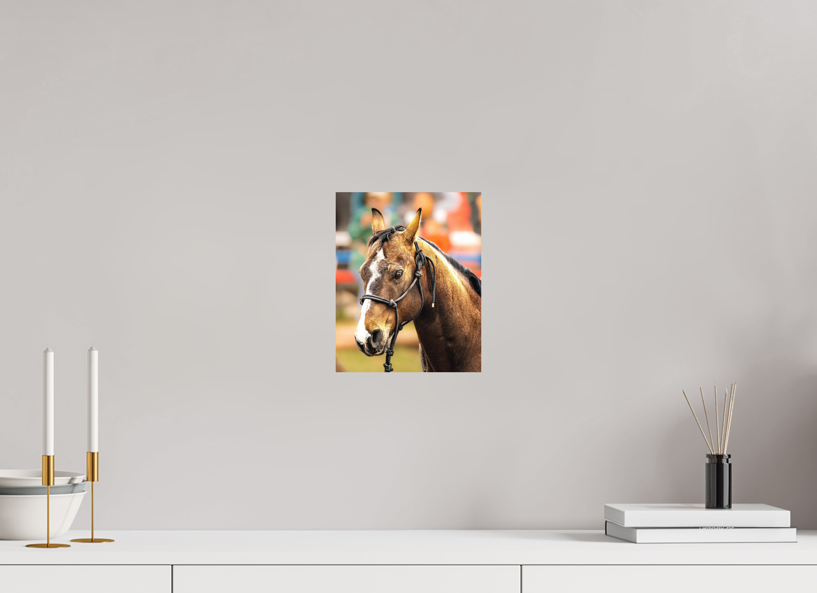 8 x 9.9″, PHOTO PAPER Pack Horse Portrait 9 Web Exclusive