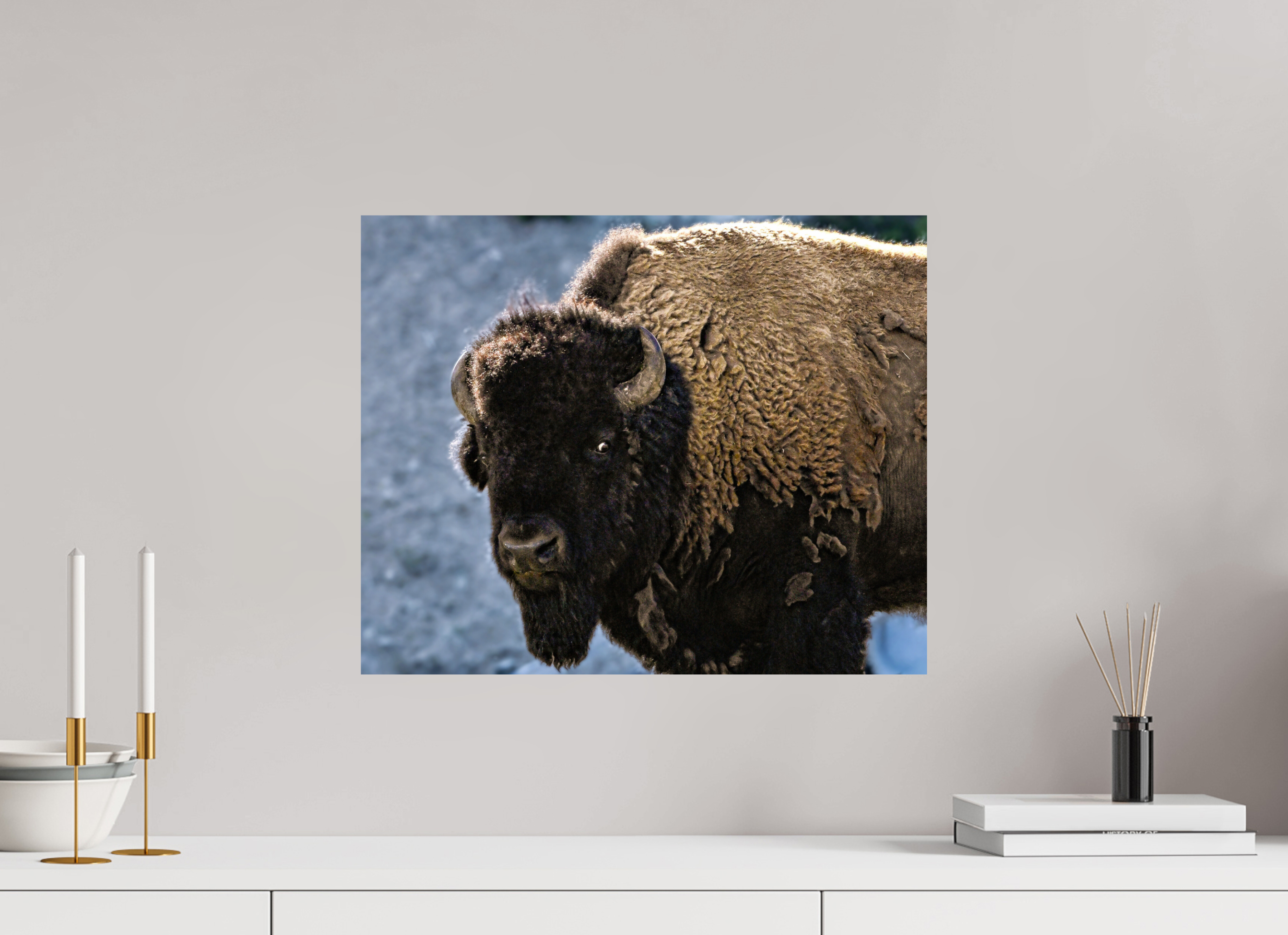 19.7 x 16″, PHOTO PAPER Bison