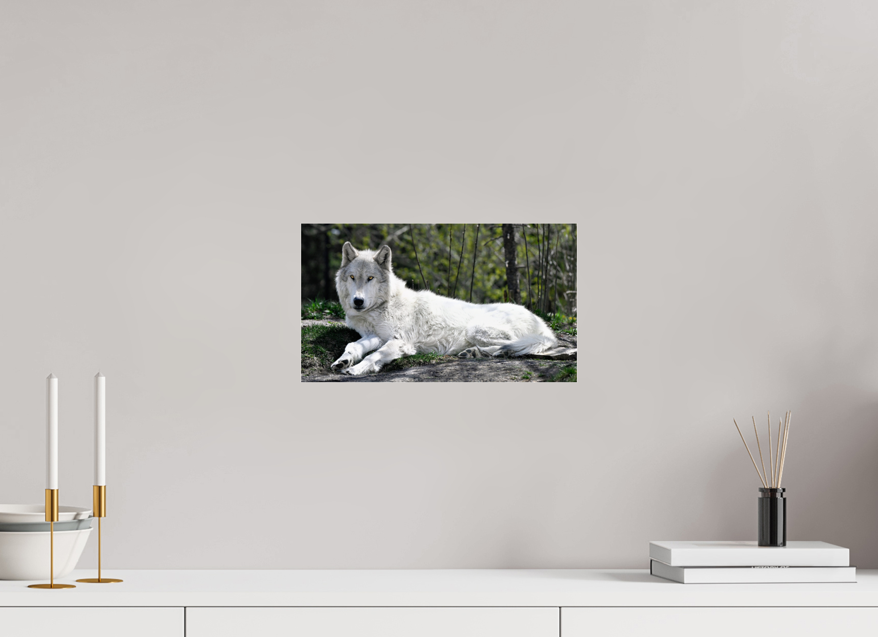 13.9 x 8″, ACRYLIC Wolf Laying Down