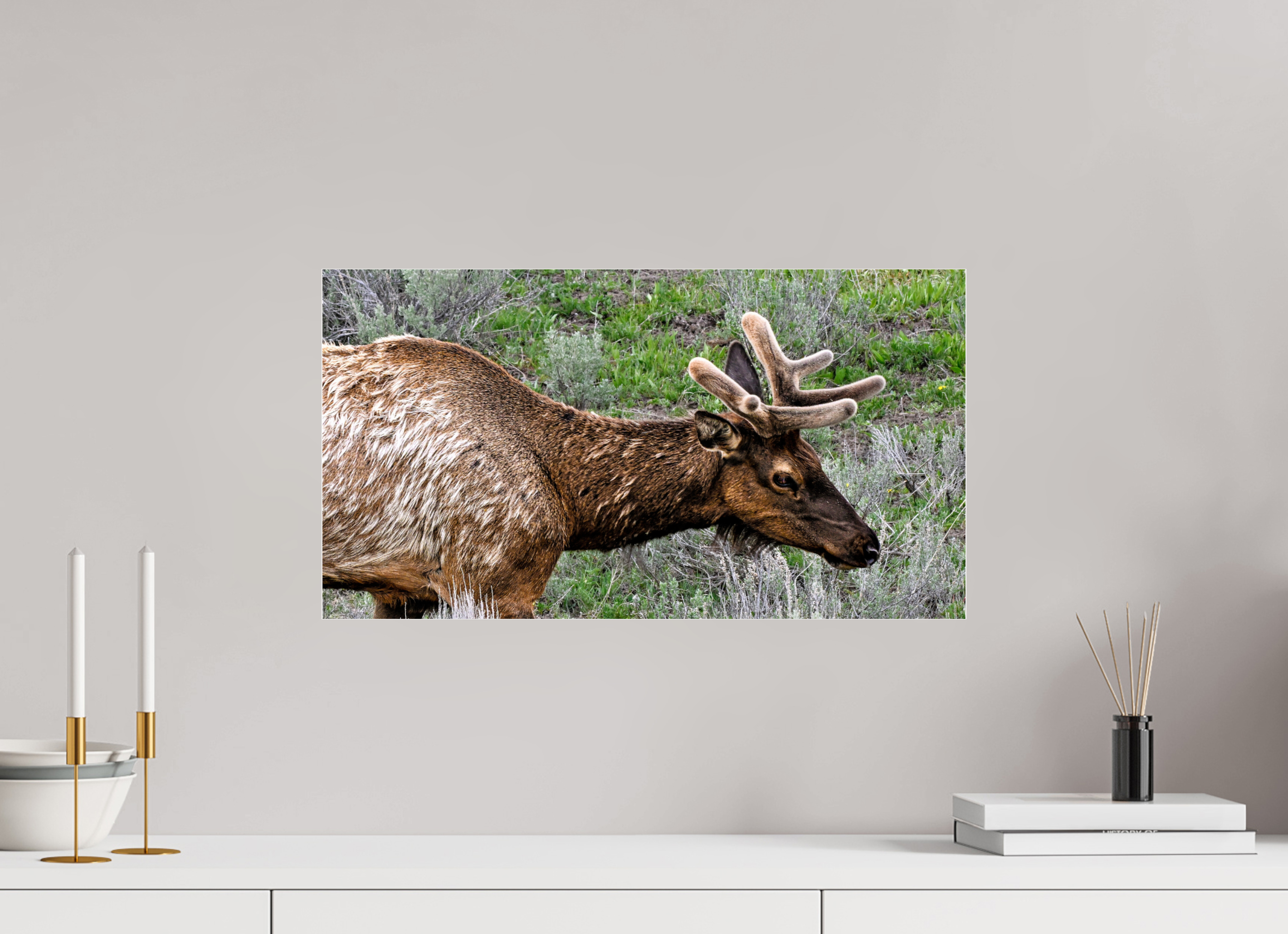 22.1 x 12″, ACRYLIC Elk