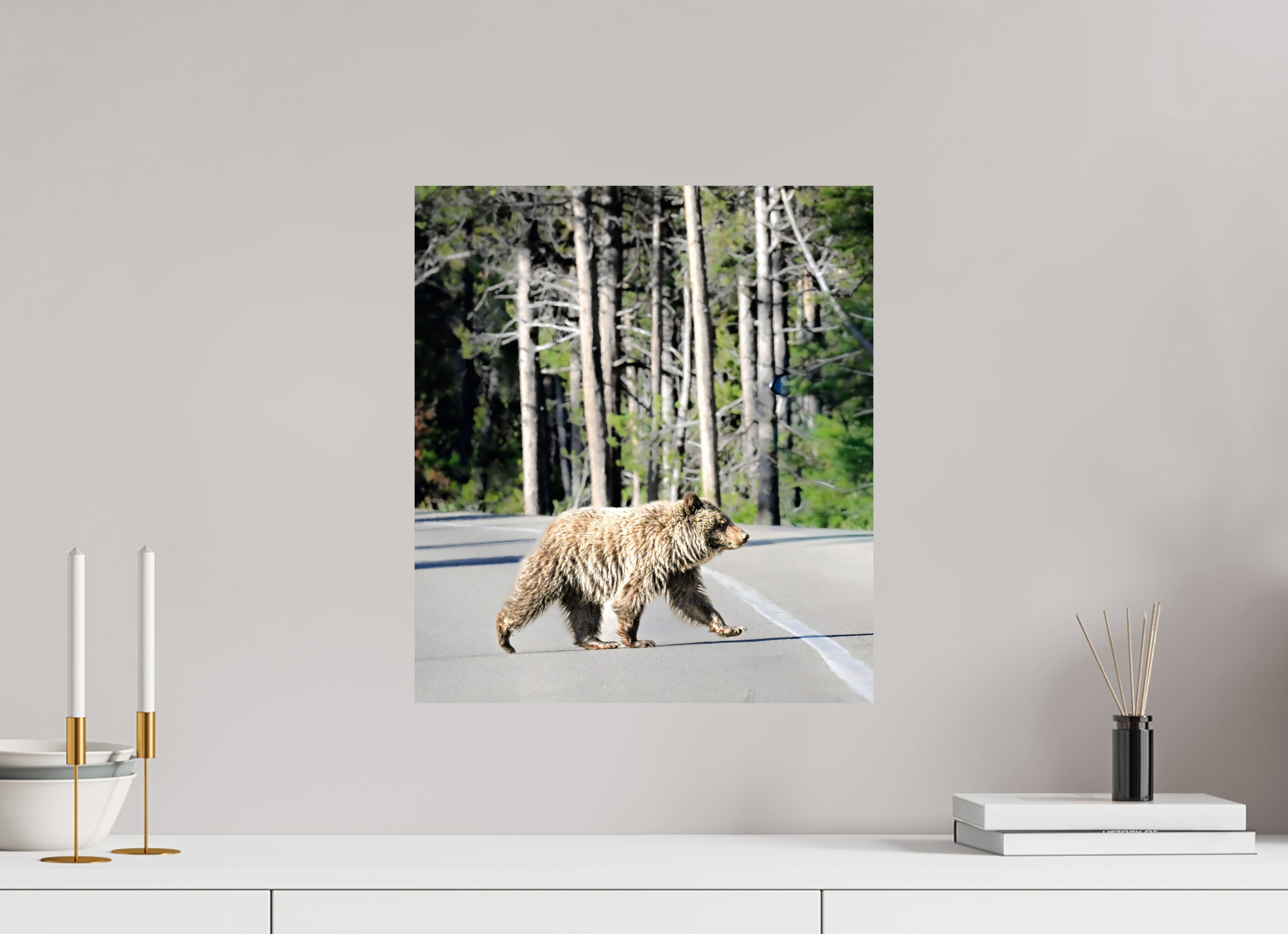 16 x 18″, PHOTO PAPER Bear