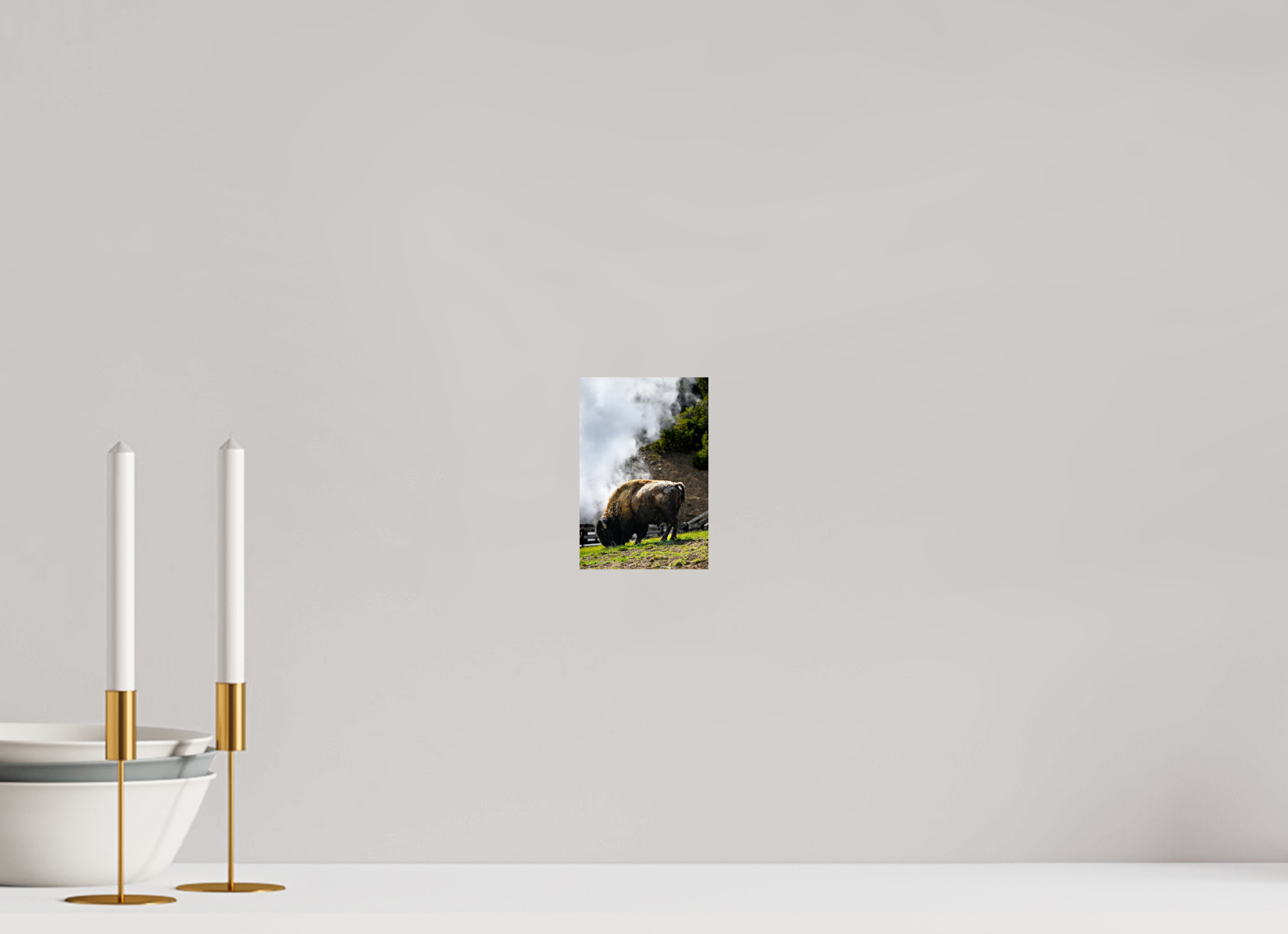 4 x 6″, PHOTO PAPER Bison Grazing