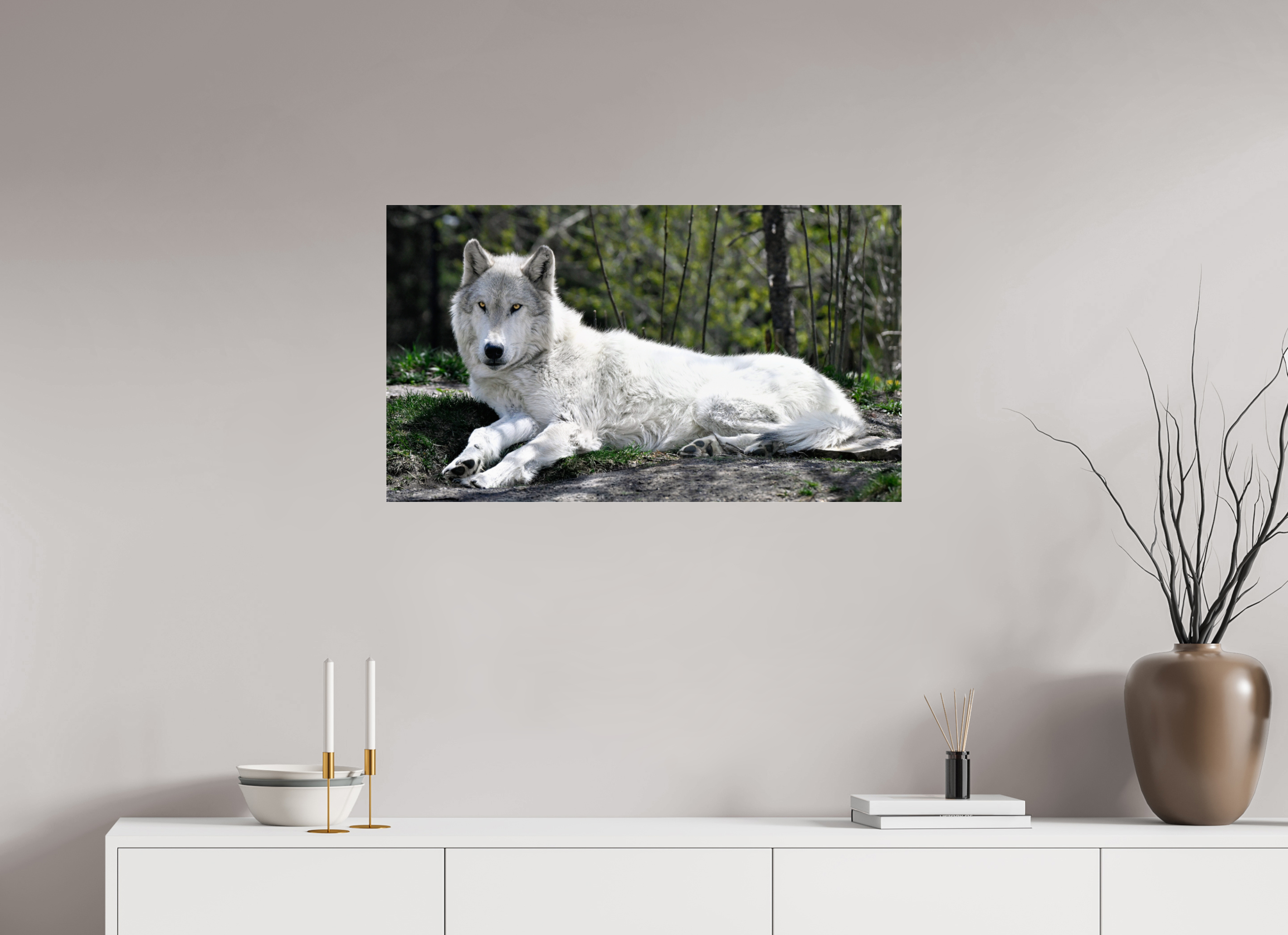34.7 x 20″, ACRYLIC Wolf Laying Down