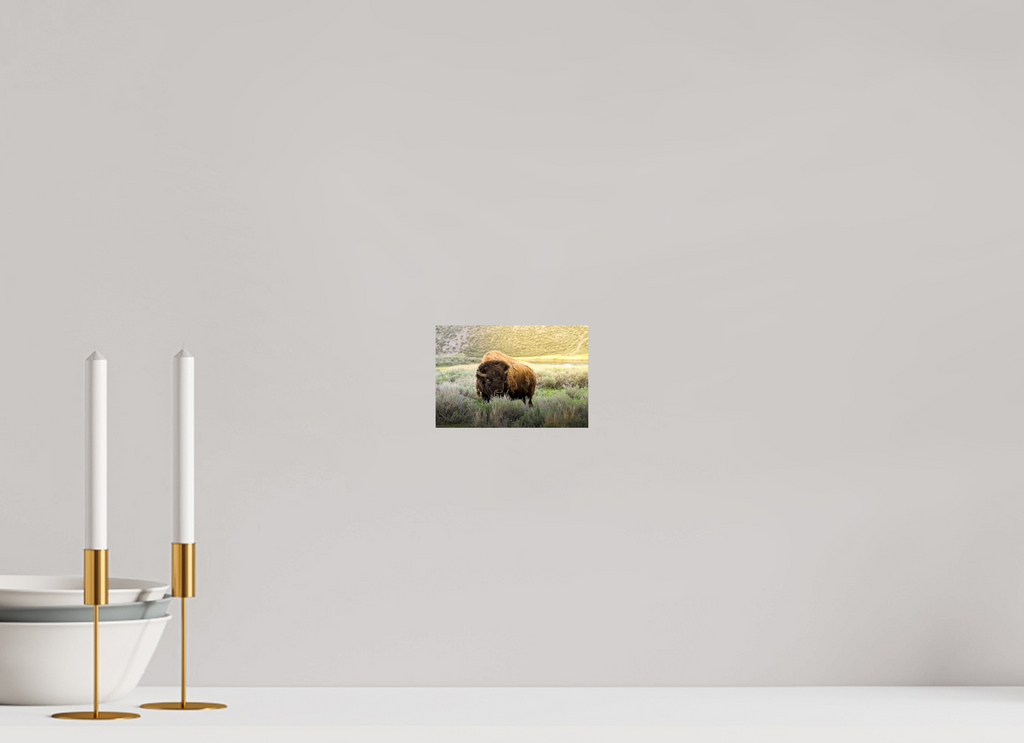 6 x 4″, PHOTO PAPER Bison in the Sunlight