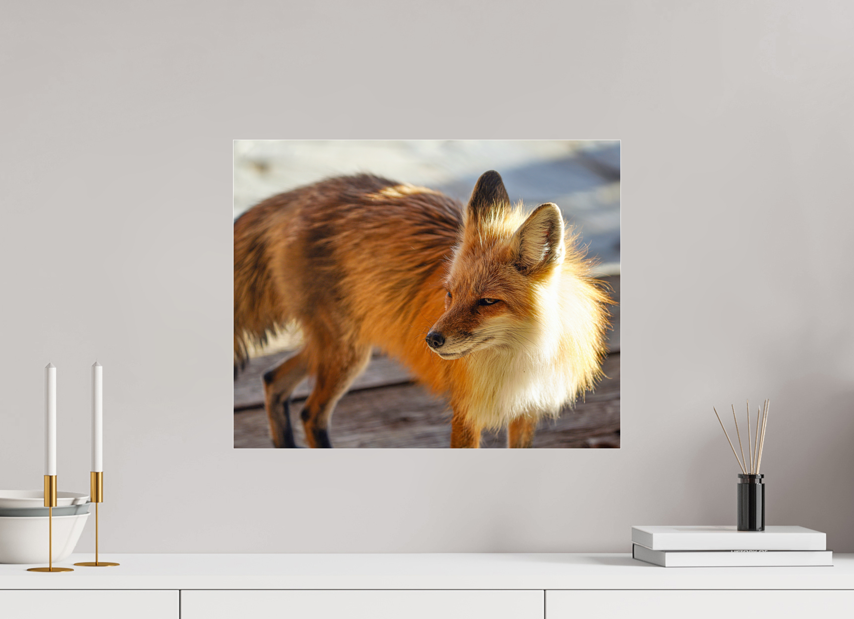 20 x 16″, ACRYLIC Fox